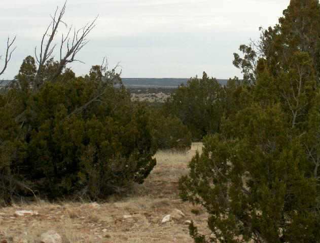 Lot 302 Chevelon Canyon Ranch, Heber, AZ 85928 — Photo 1 of 1