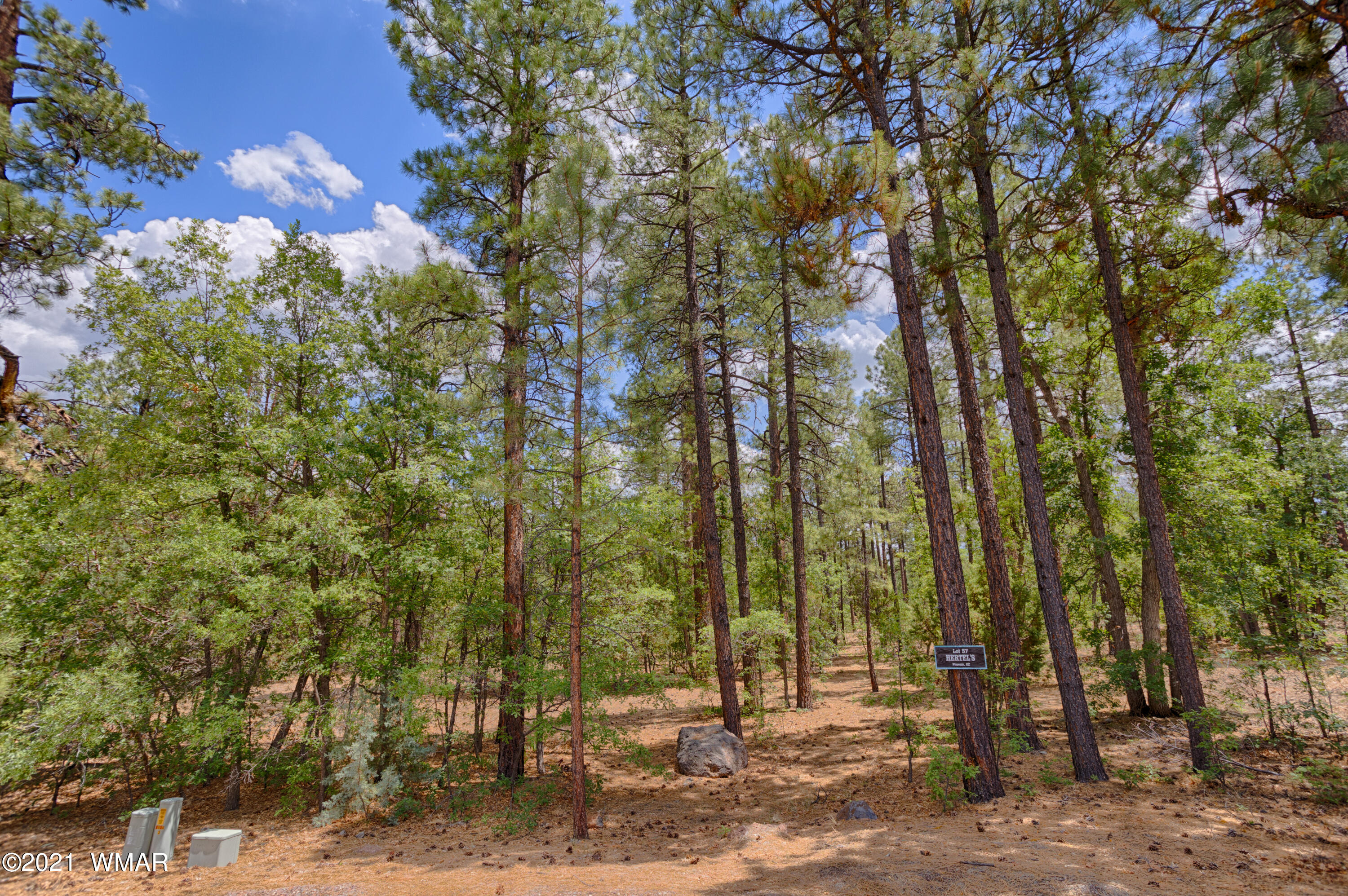 57 E Vista Lane, Pinetop, AZ 85935