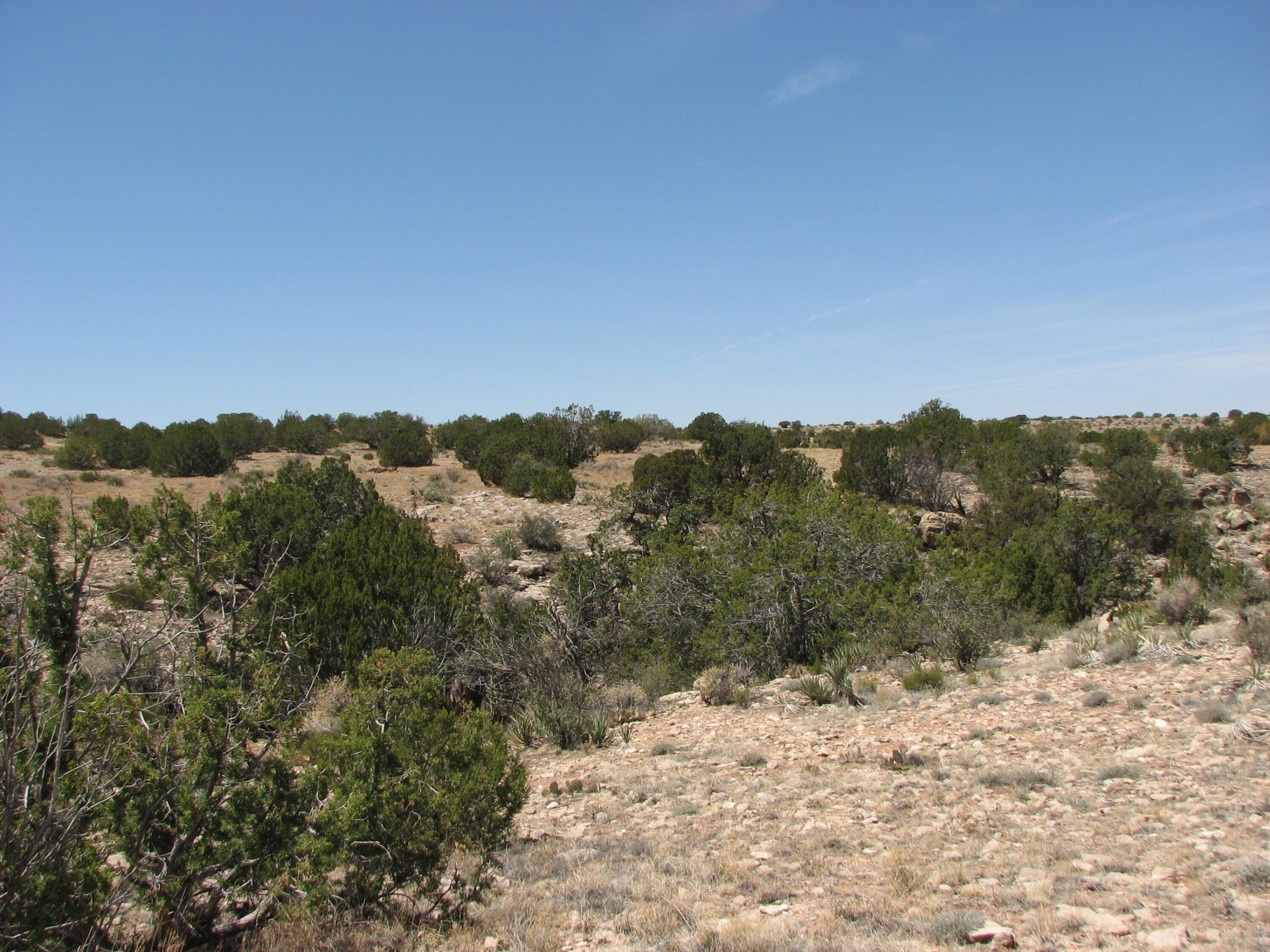 546 Flat Bush Road, Heber, AZ 85928 — Photo 1 of 7