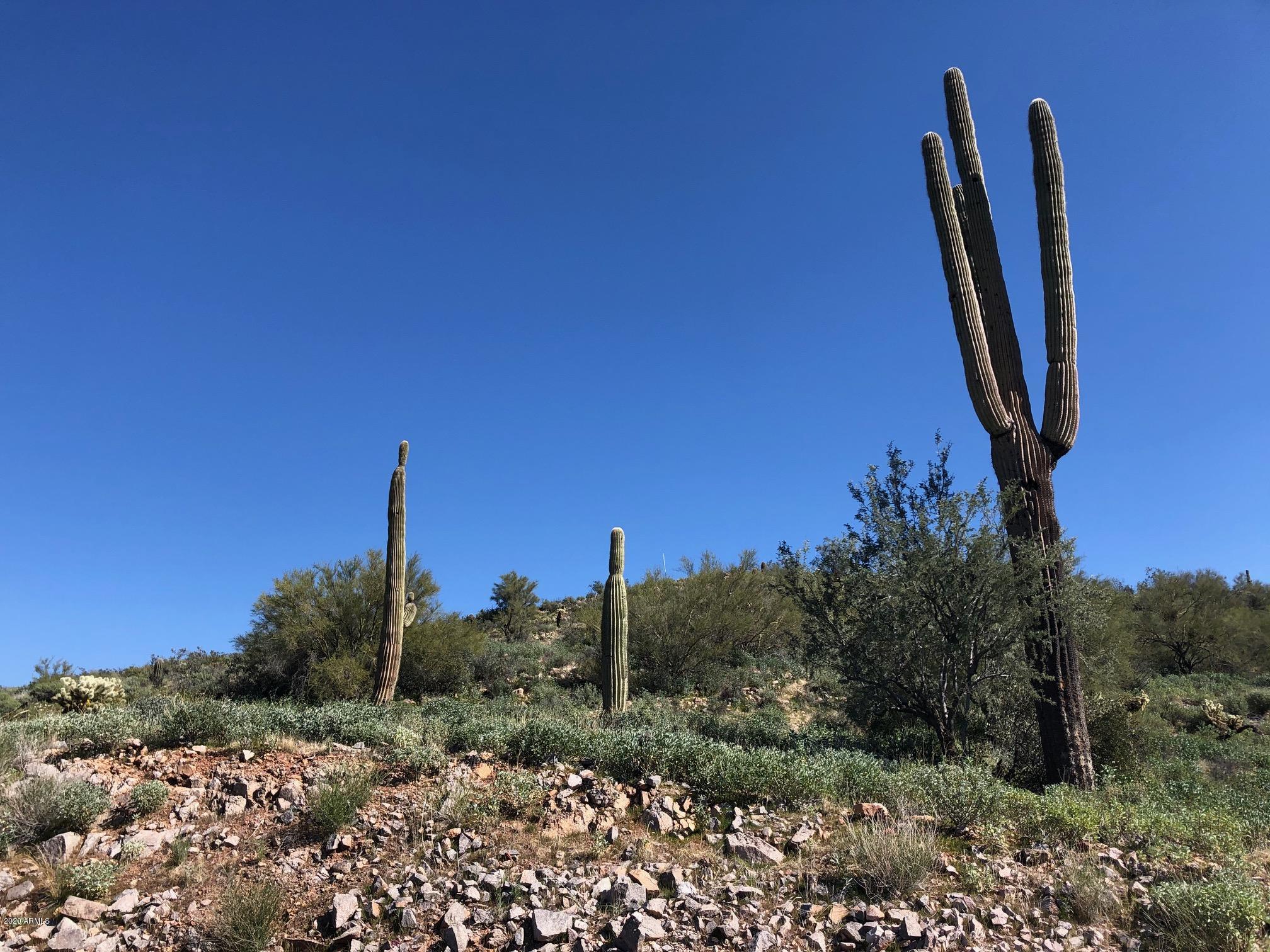 3863 S AVENIDA DE ANGELES 103, Gold Canyon, AZ 85118
