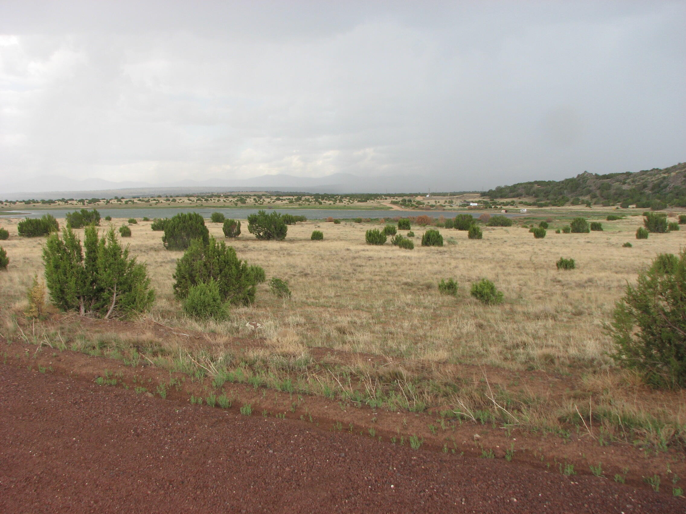 21 & 23 County Road 8001, Concho, AZ 85924 — Photo 1 of 4