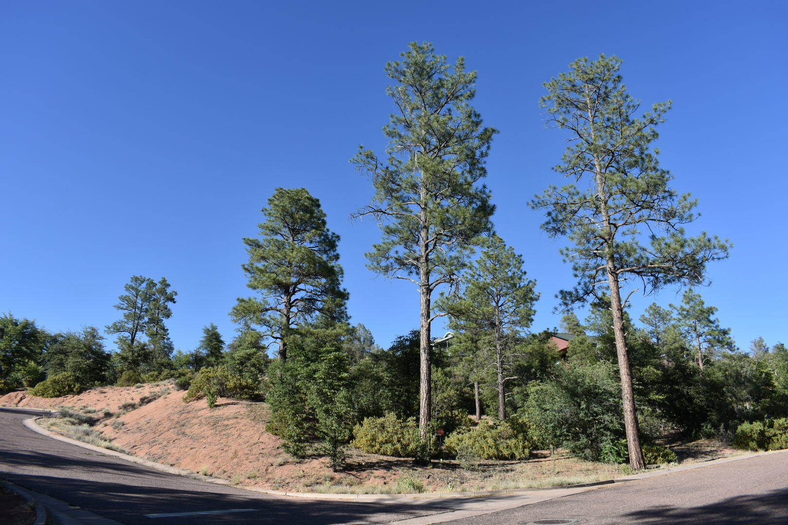 LOT 19 E PINE RIDGE Drive, Star Valley, AZ 85541