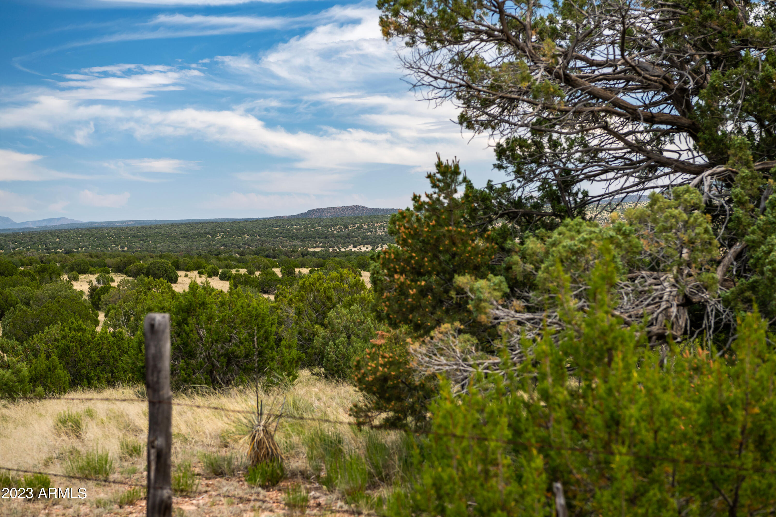 000-B Pine Ridge Lot B 50, Seligman, AZ 86337