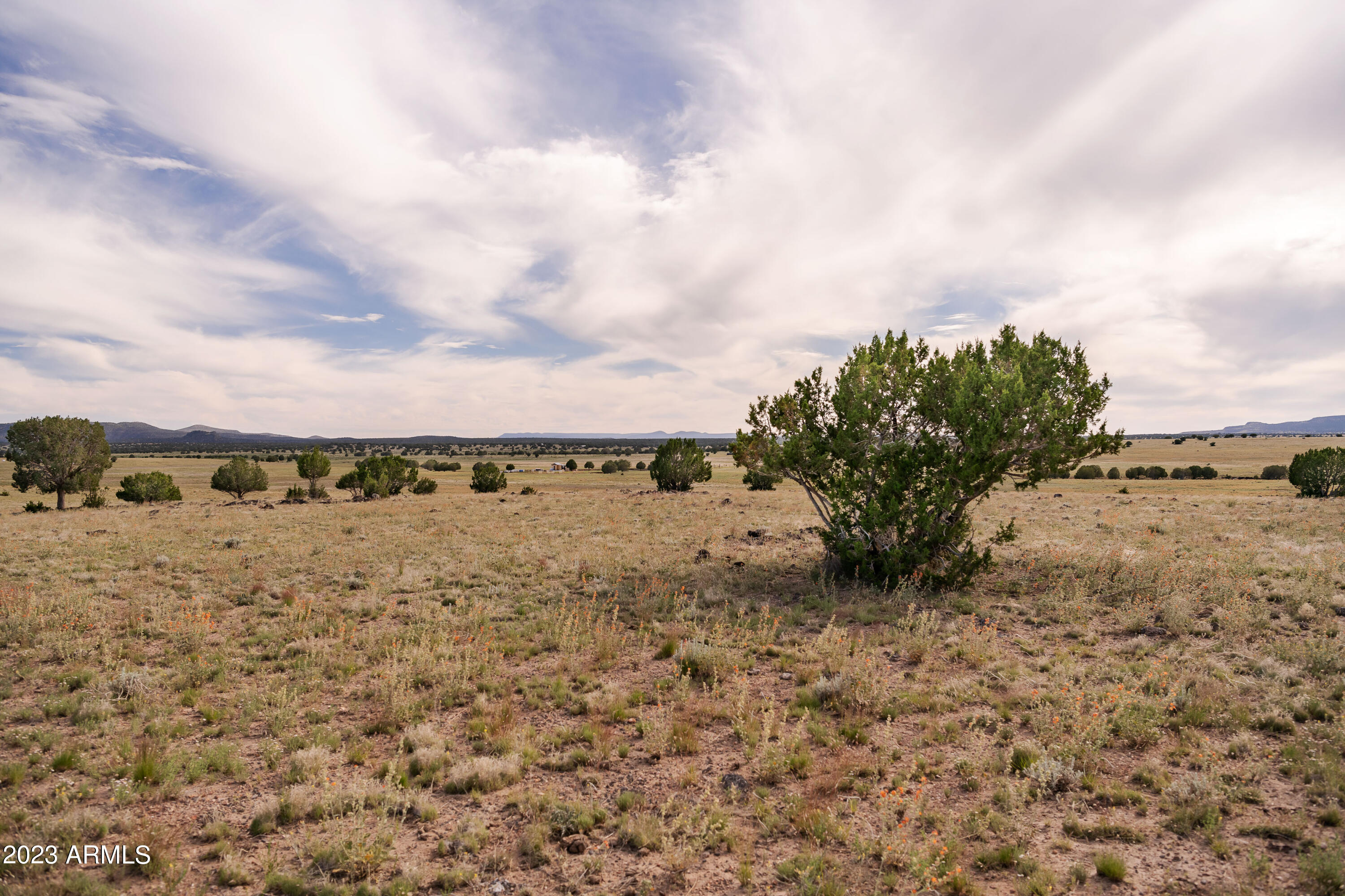 000-B1 Kirby Lane Parcel B1 Lane 58, Ash Fork, AZ 86320