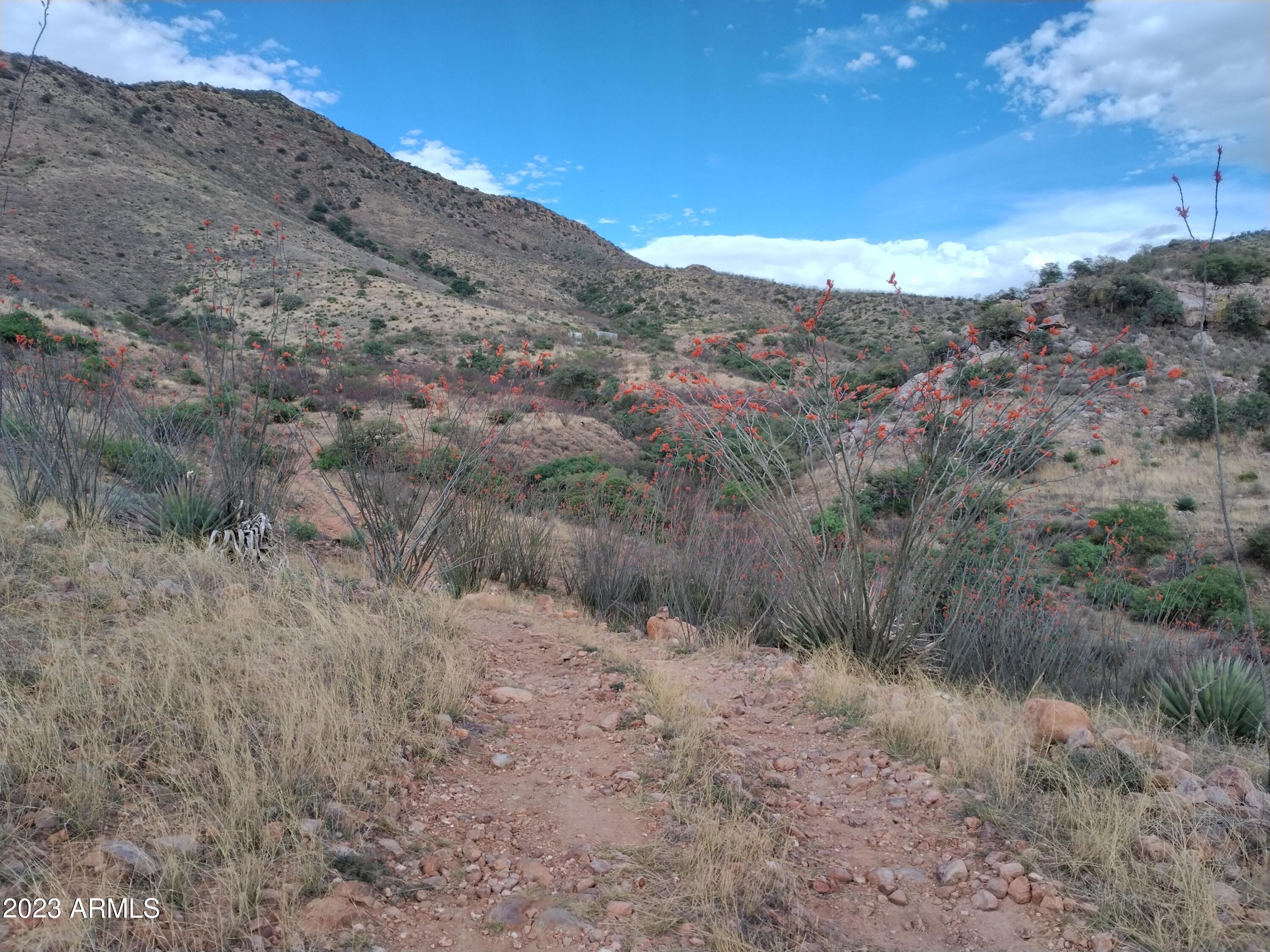 127 N Lupine Road 23, Bisbee, AZ 85603 — Photo 1 of 24