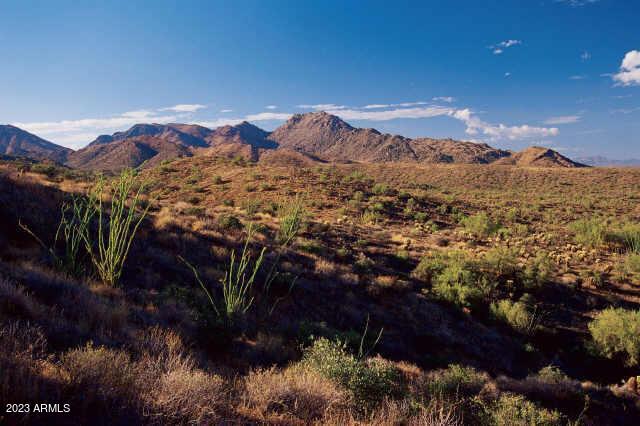 14433 E DESERT TORTOISE Trail 24, Fountain Hills, AZ 85268