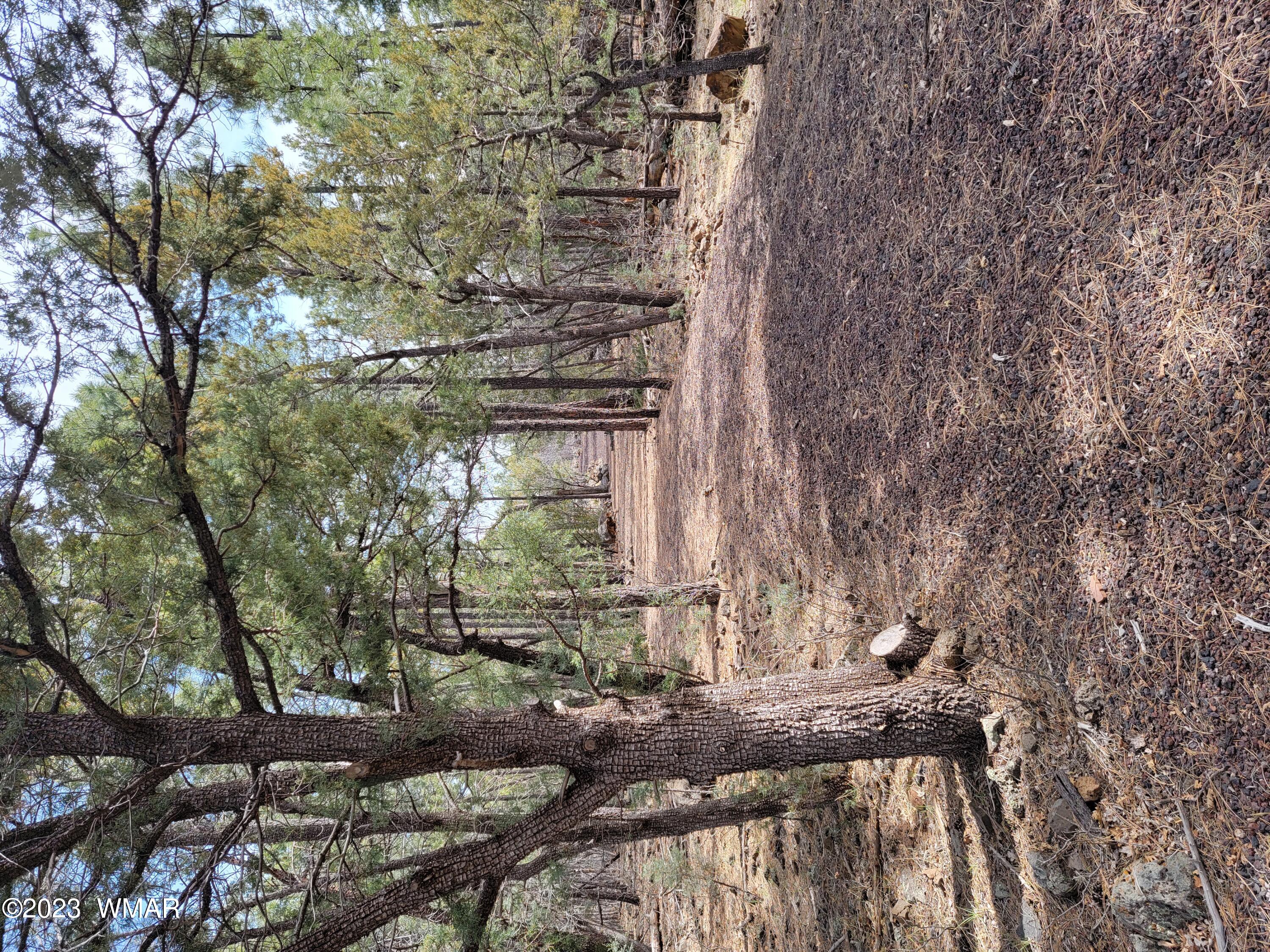 TBD Zola Road, Lakeside, AZ 85929