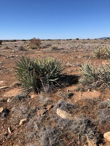 Lot 663 Chevelon Canyon Ranch, Heber, AZ 85928 — Photo 1 of 5