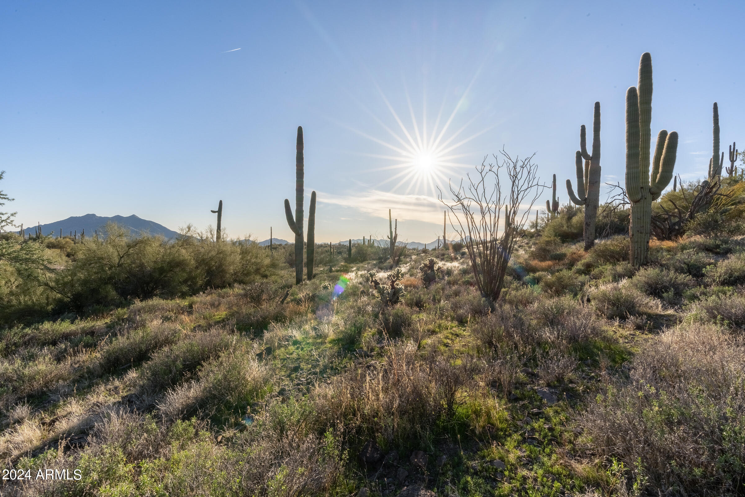 7344 E CONTINENTAL MTN ESTS Drive 1, Cave Creek, AZ 85331