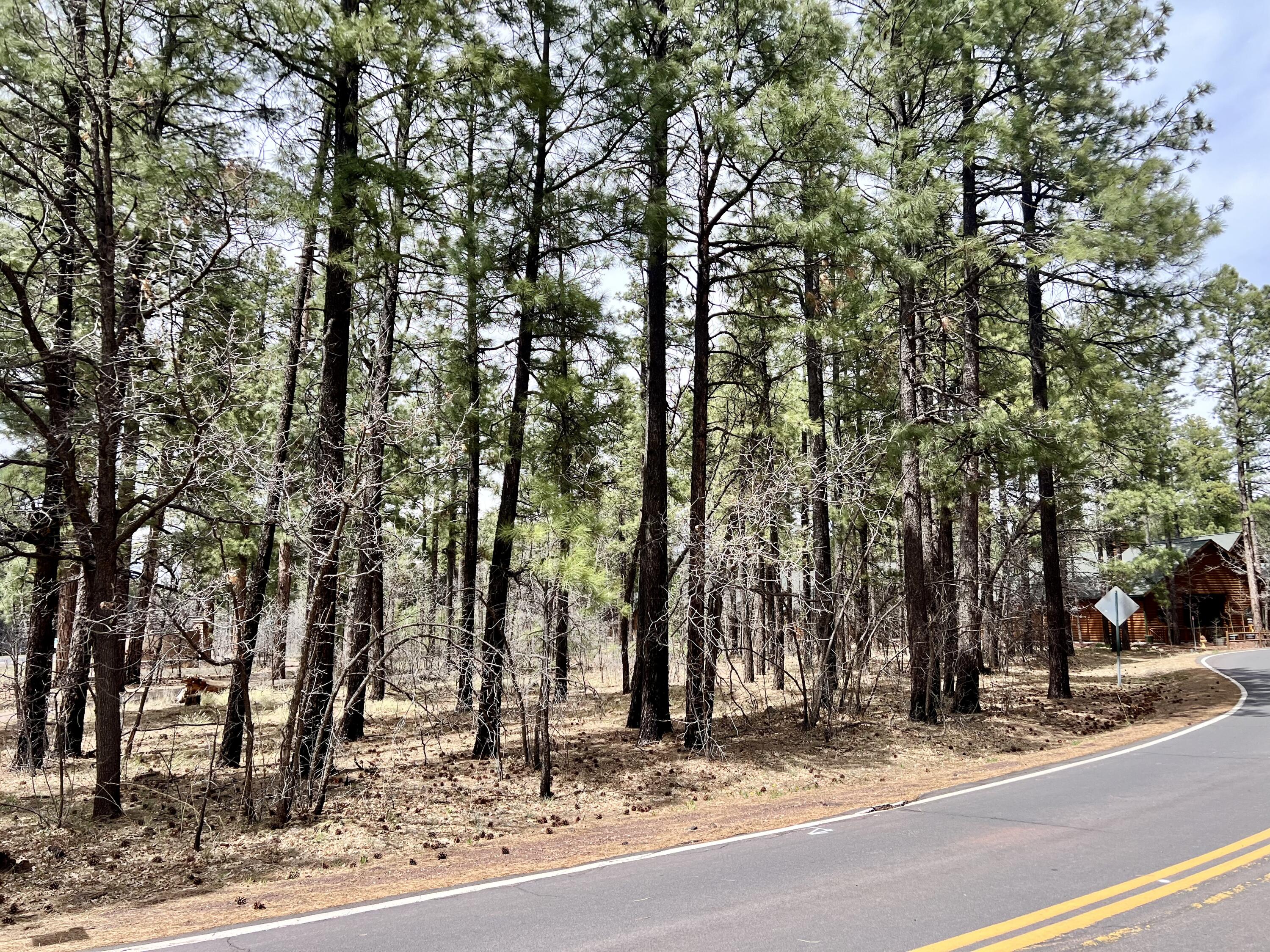 4024 LATIGO Way, Pinetop, AZ 85935