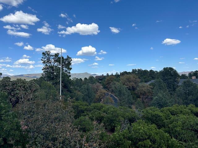 2314 E BLUE BELL Circle, Payson, AZ 85541 — Photo 1 of 19