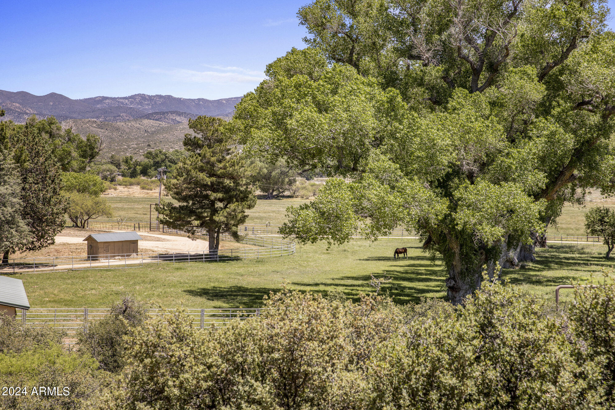 Thumbnail 31