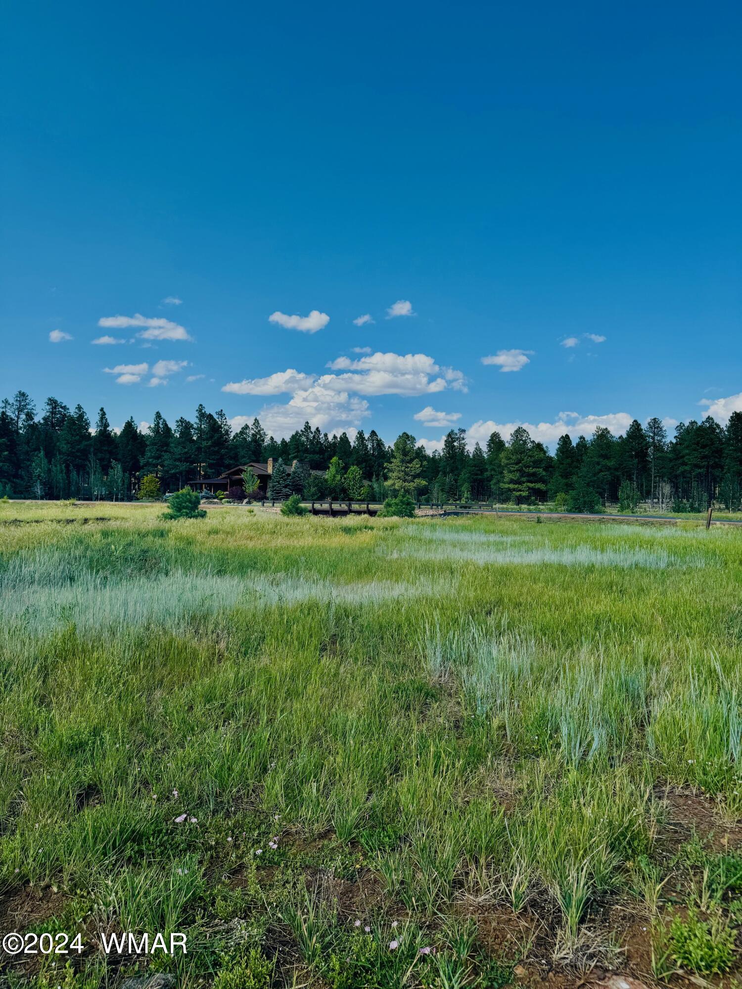 9580 Sierra Springs Drive, Pinetop, AZ 85935