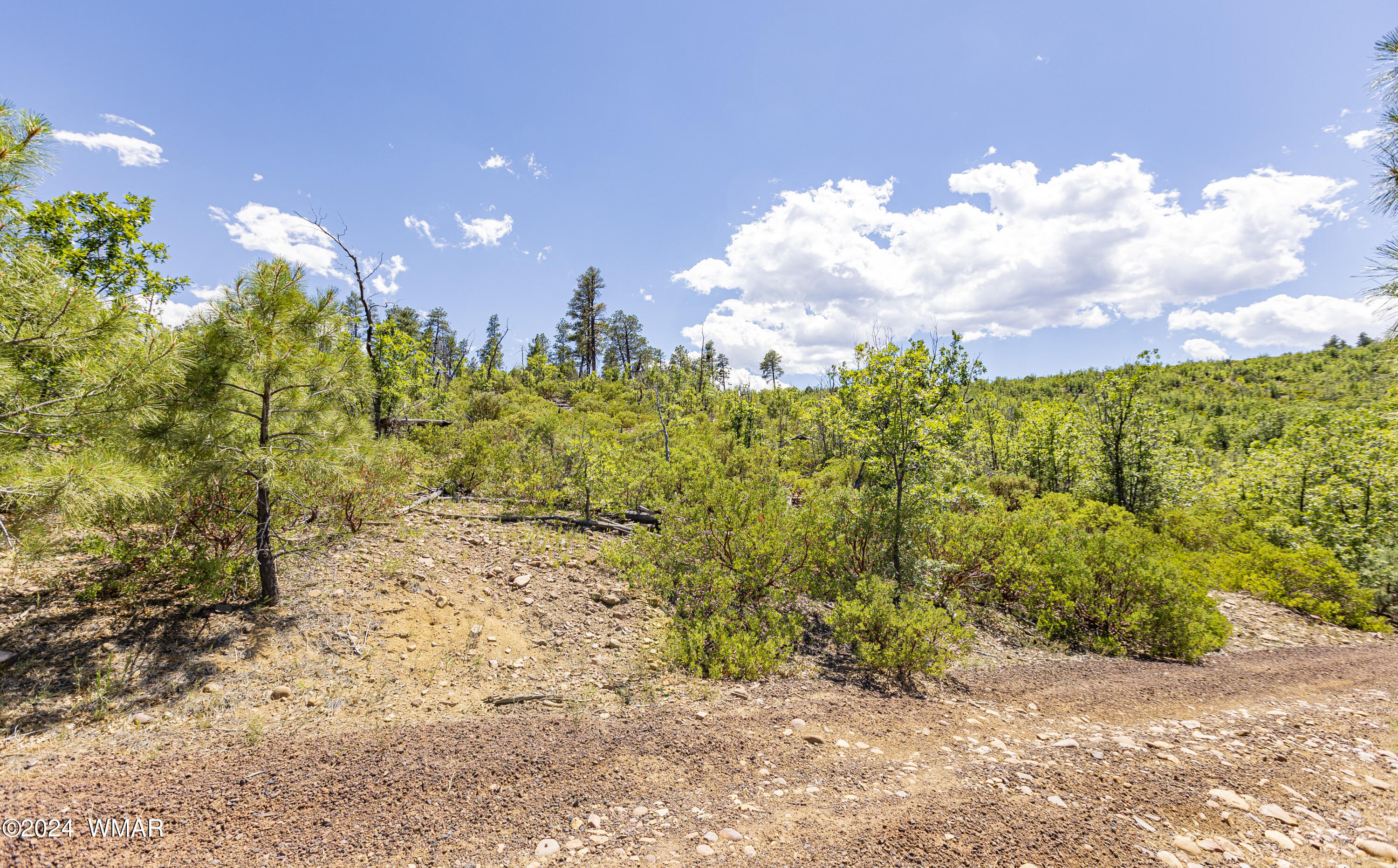 TBD Fieldy Road 14.03 Acres, Show Low, AZ 85901 — Photo 1 of 19