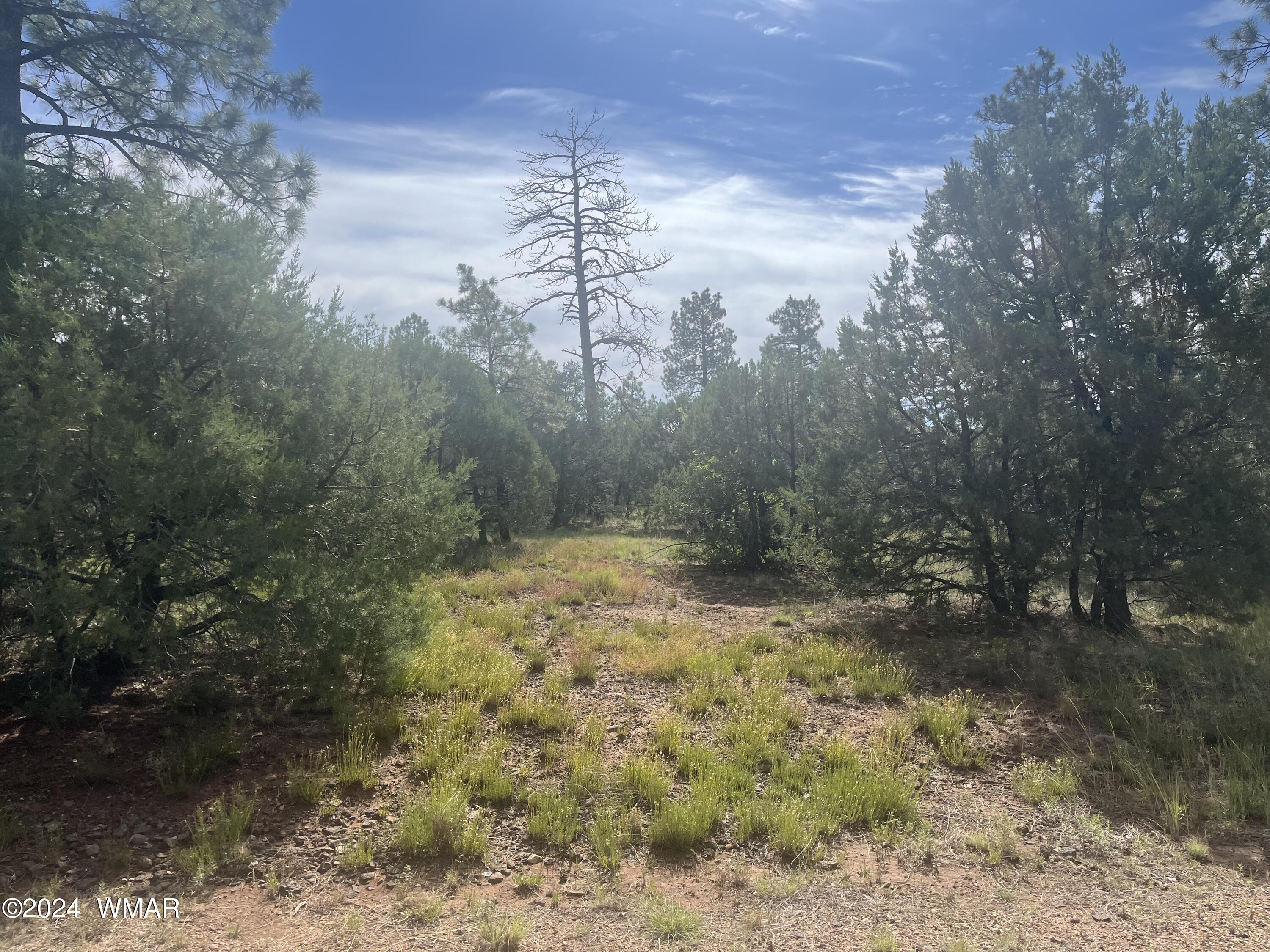 5455 Red Squirrel Lane, Lakeside, AZ 85929
