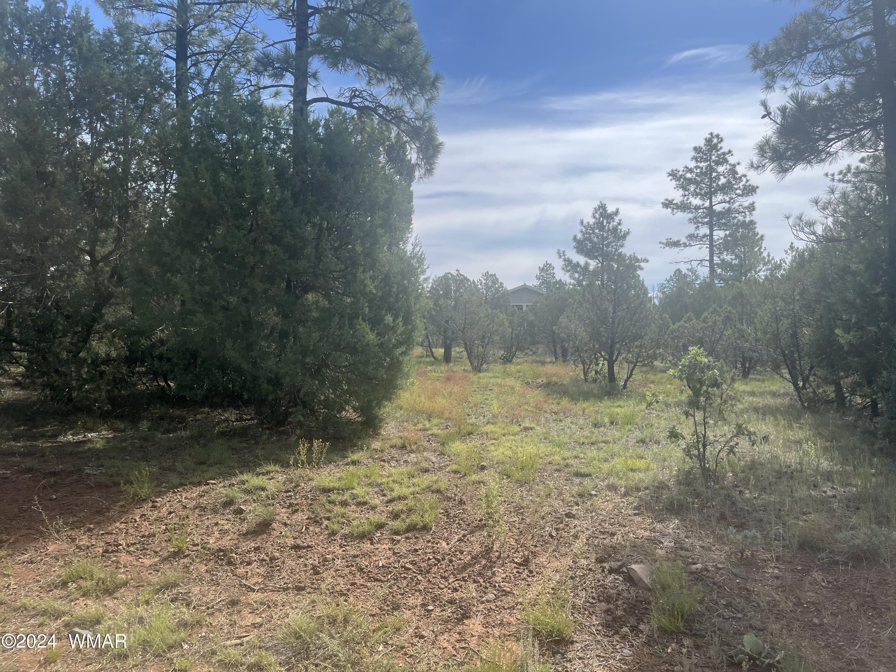 5481 Red Squirrel Lane, Lakeside, AZ 85929