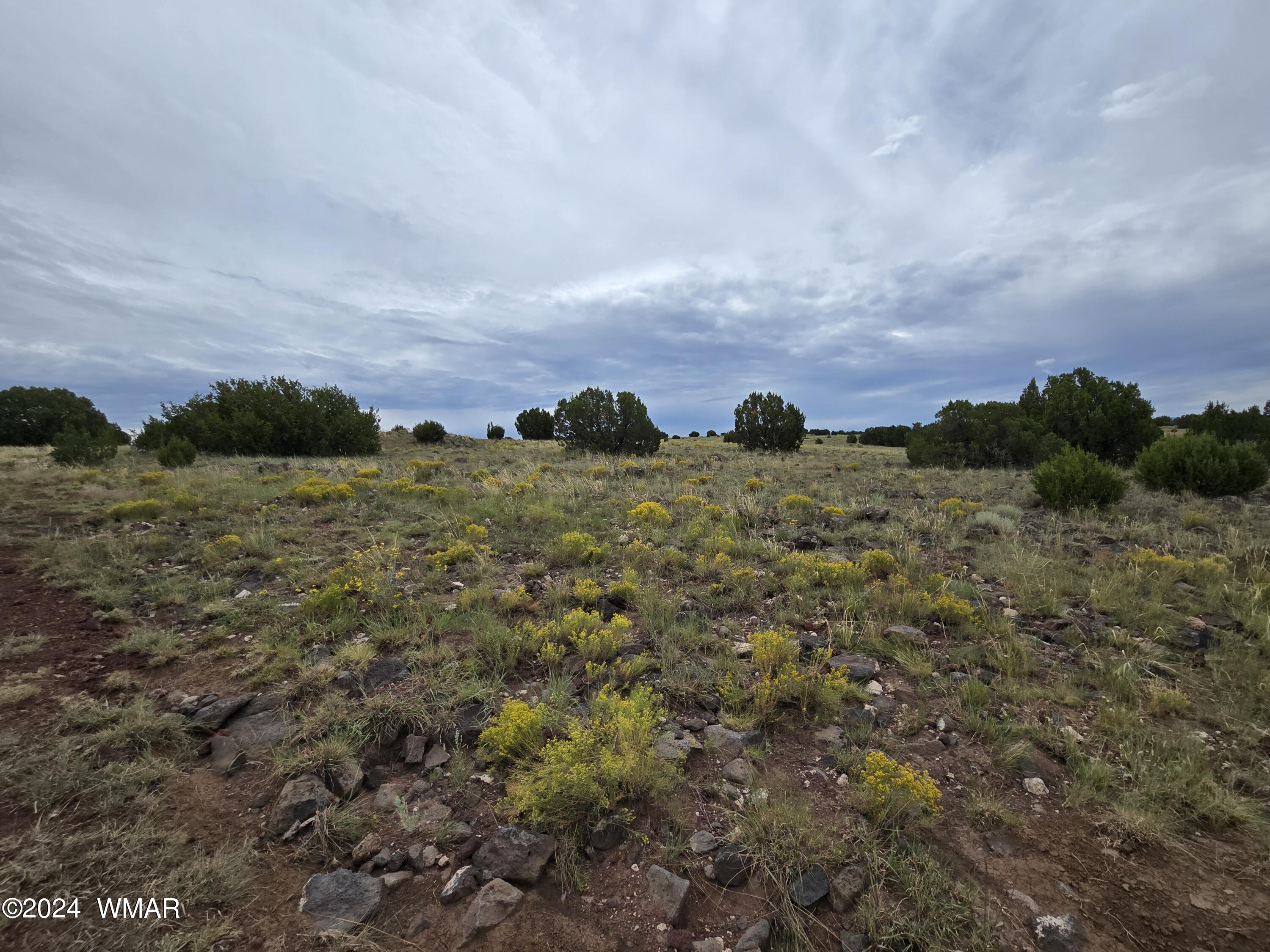 TBD CR 5151, Concho, AZ 85924