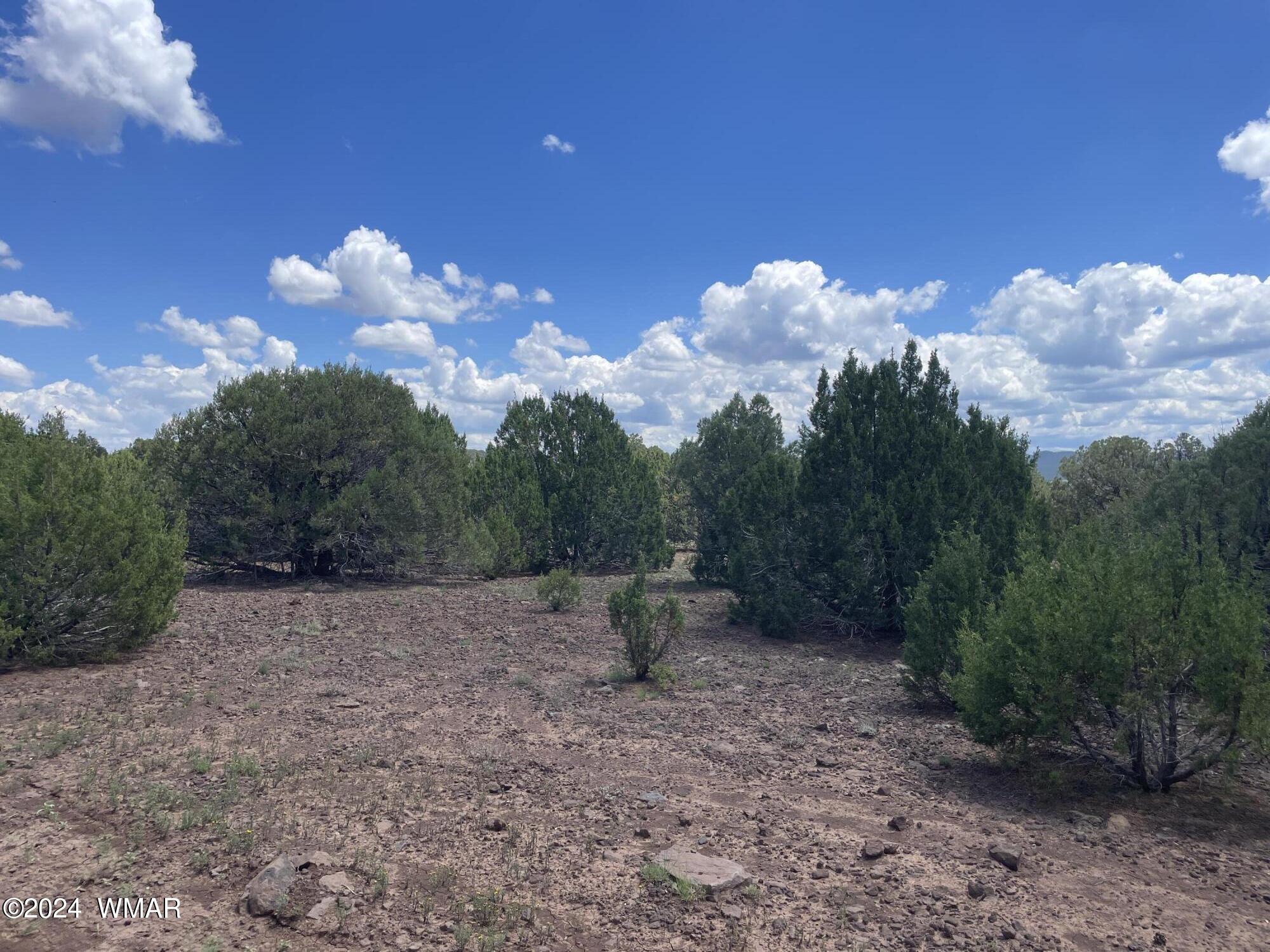 4 County Road 3331, Vernon, AZ 85940