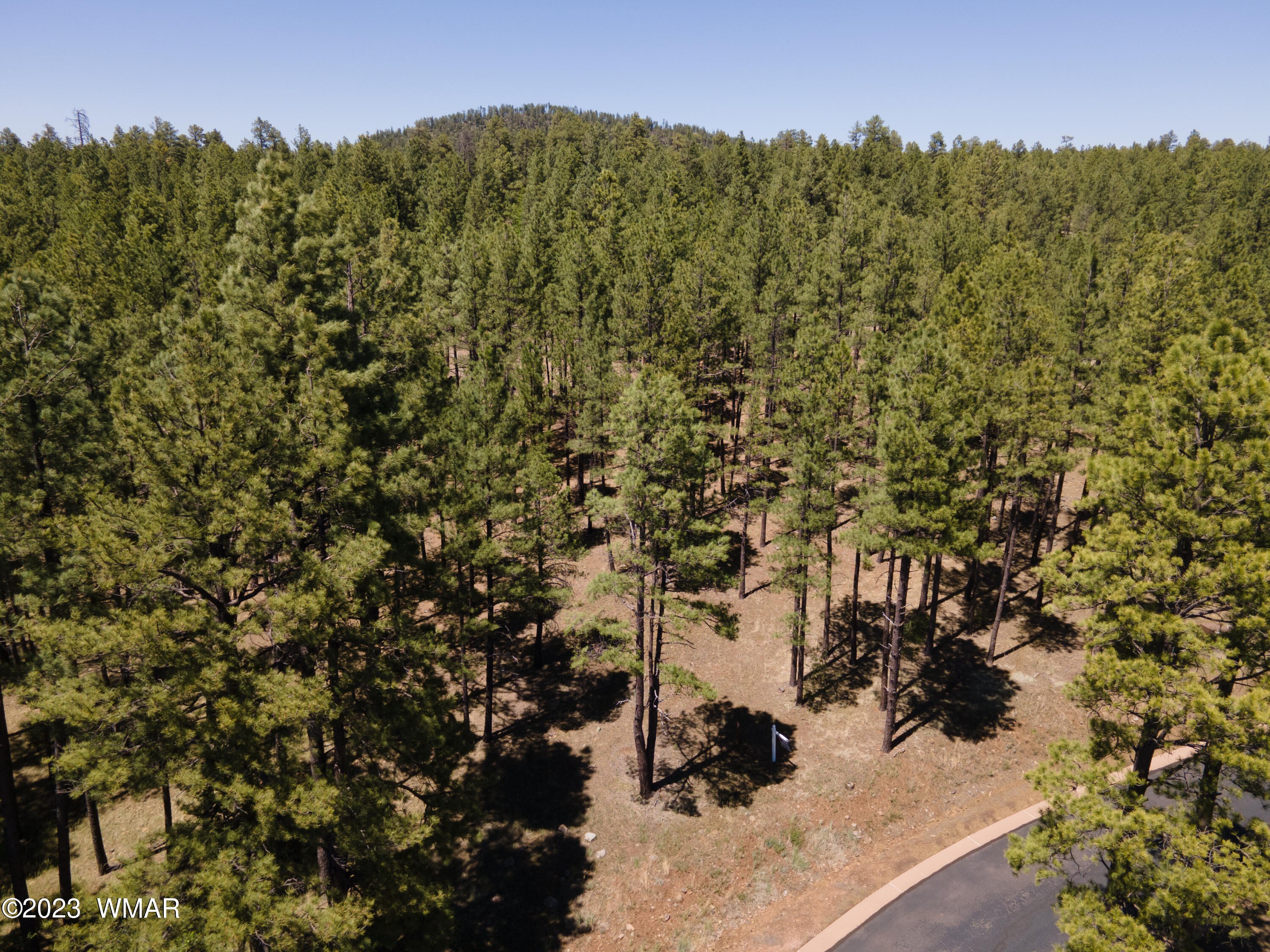 9586 Sierra Springs Way, Pinetop, AZ 85935