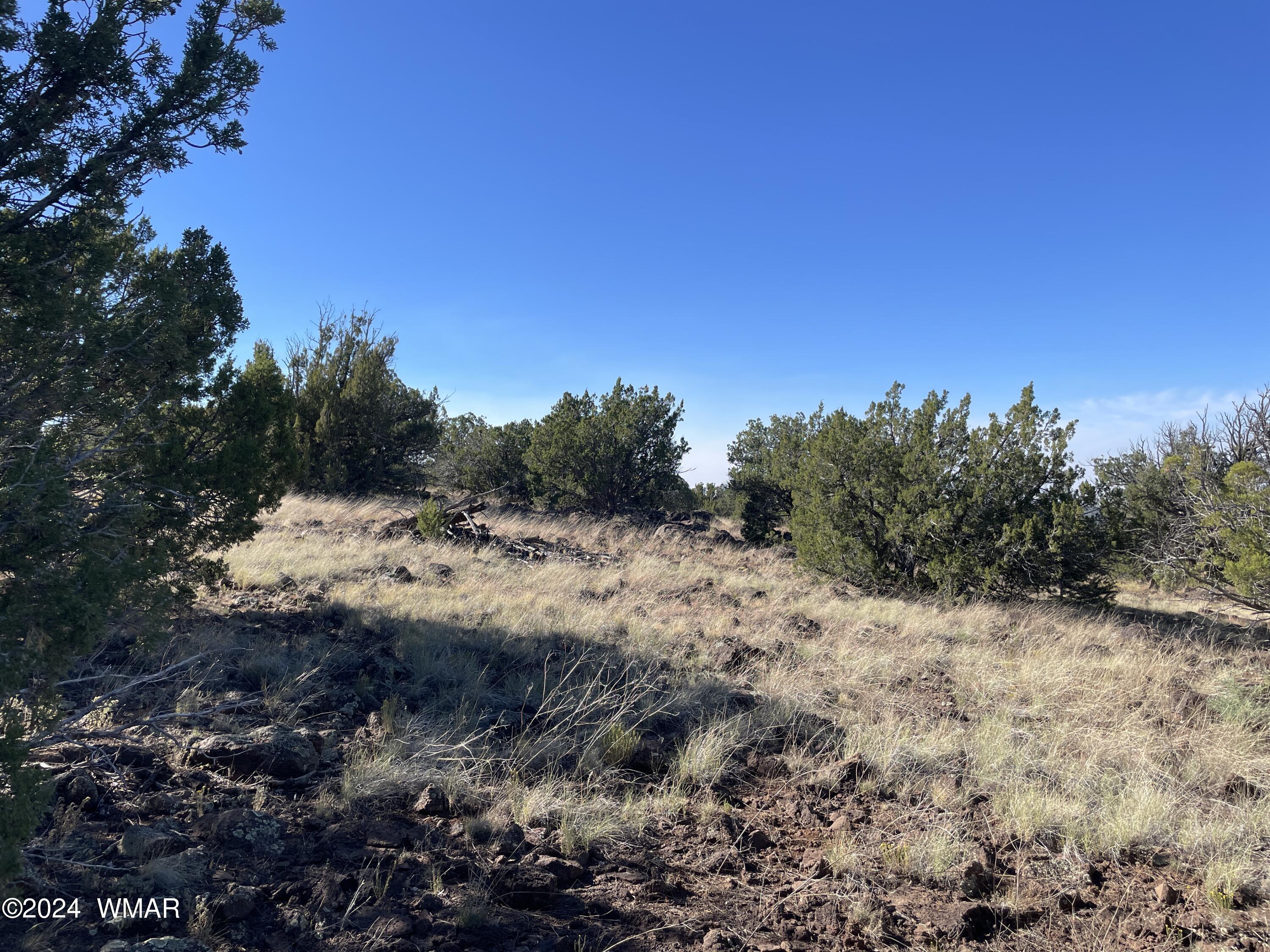 12 County Road, 8232, Concho, AZ 85924
