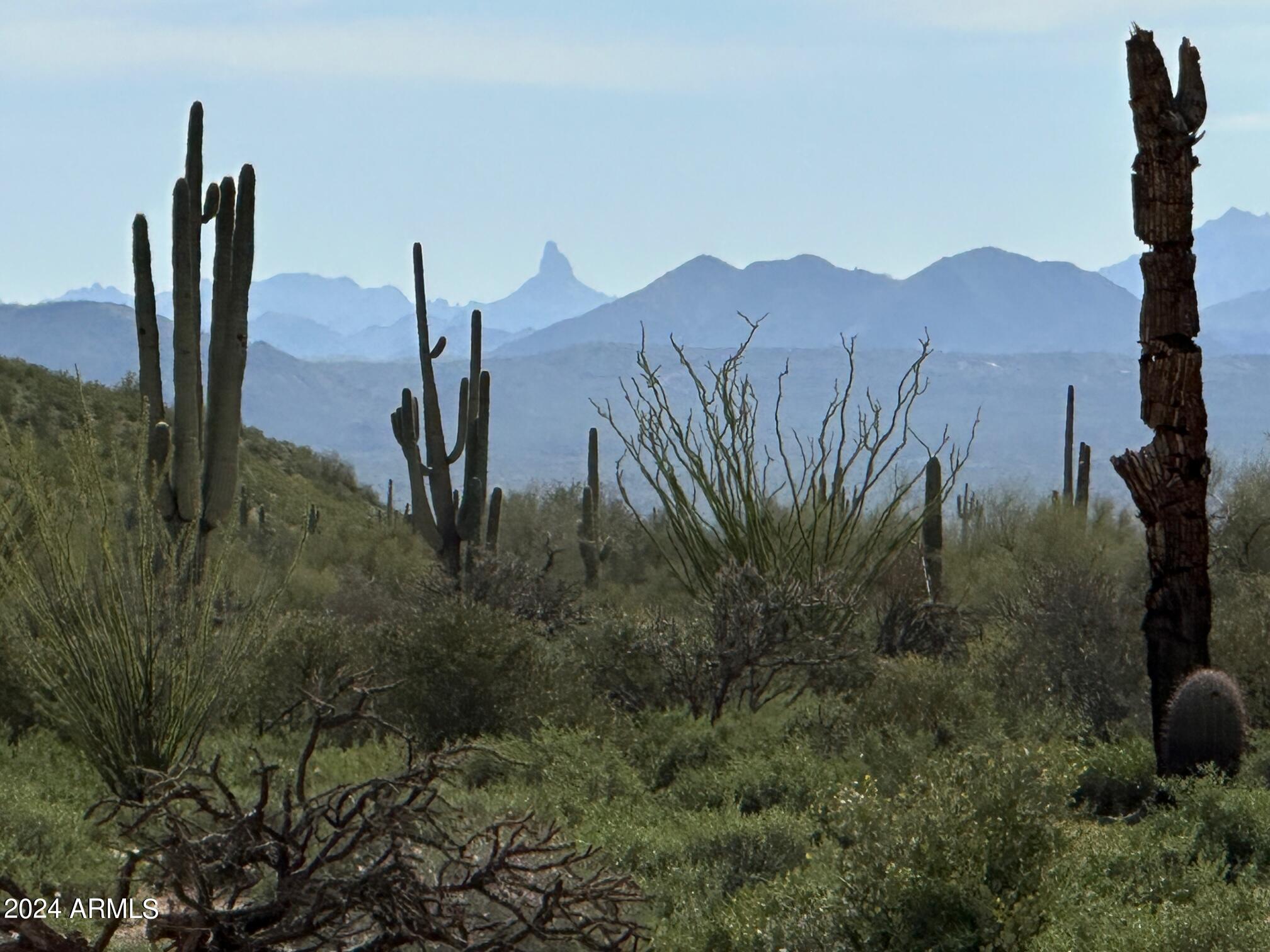 168XX E Bajada Drive D, Rio Verde, AZ 85263