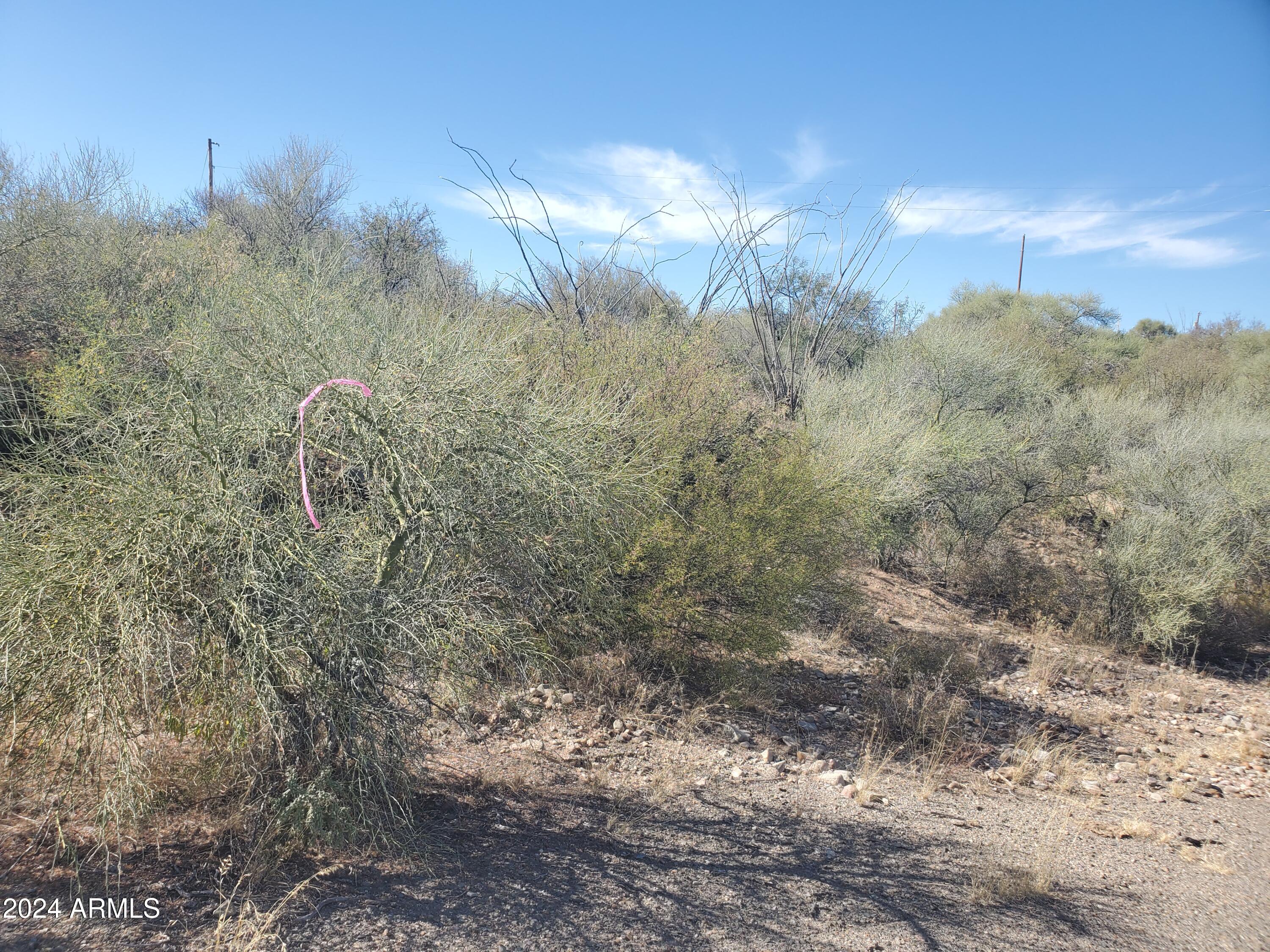 1978 CALLE COMINOS 6, Rio Rico, AZ 85648
