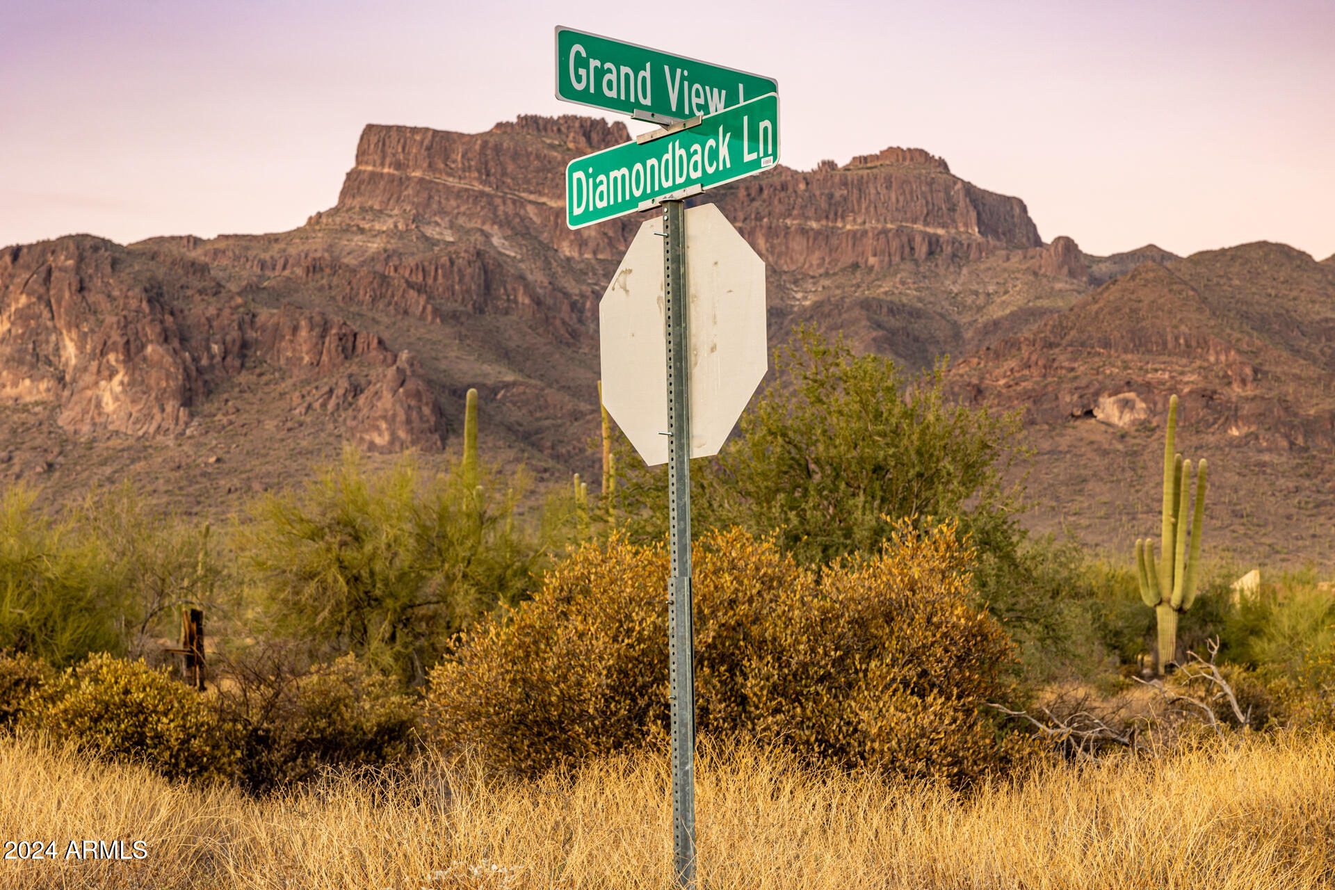 7255 E GRAND VIEW Lane 86, Gold Canyon, AZ 85119