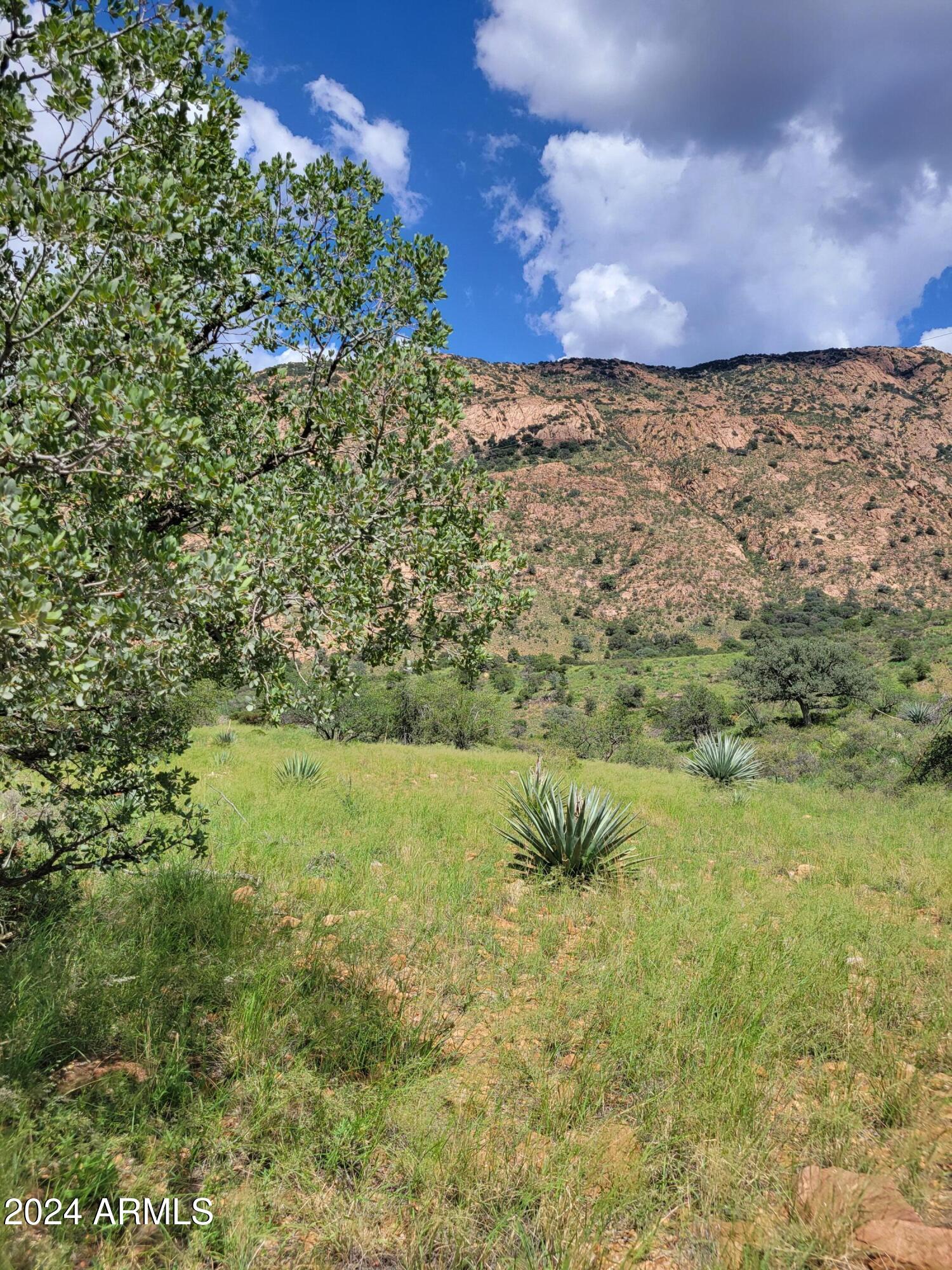 TBD Hannon Ranch Lane 110-51-013-B9, Bisbee, AZ 85603