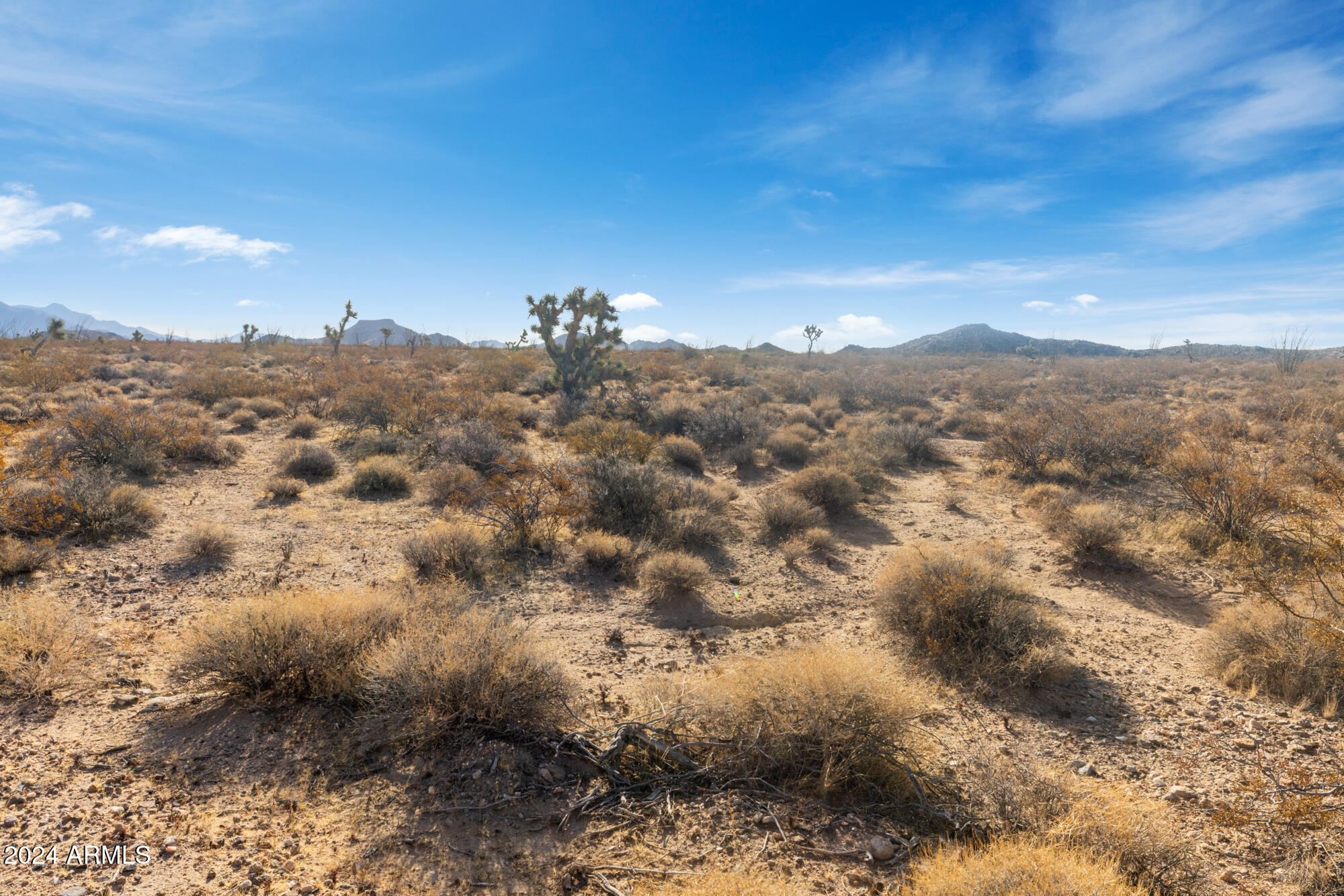 300 W Mary Drive 3055, Yucca, AZ 86438 — Photo 1 of 28