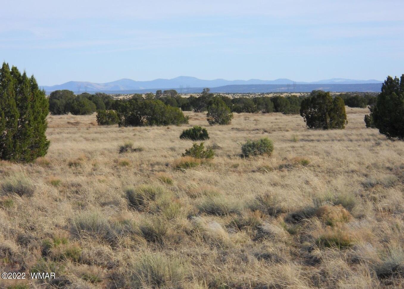 19 County Road, Concho, AZ 85924