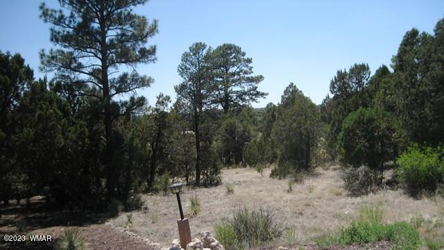 2223 Fairway Drive, Overgaard, AZ 85933 — Photo 1 of 4