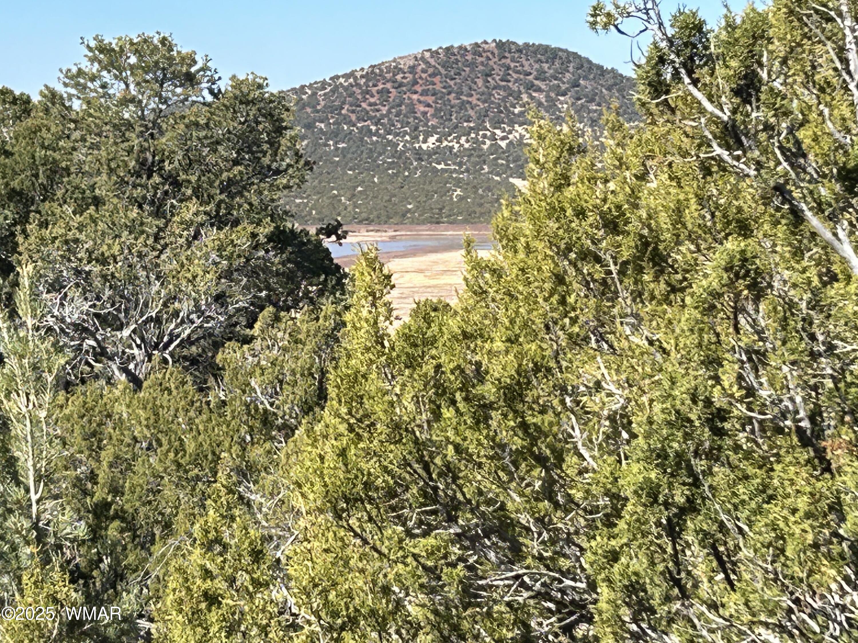 lot 79 Ranch Road, Vernon, AZ 85940