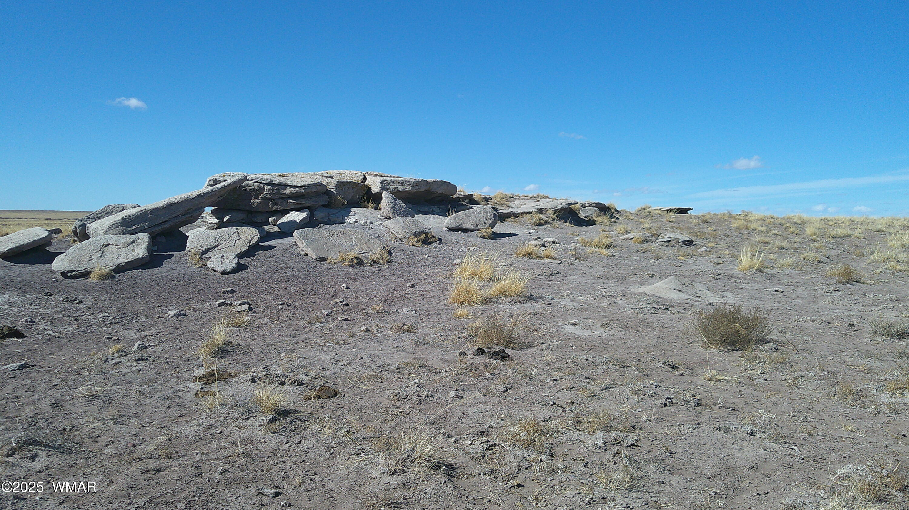 TBD River Meadows Ranch, Concho, AZ 85924