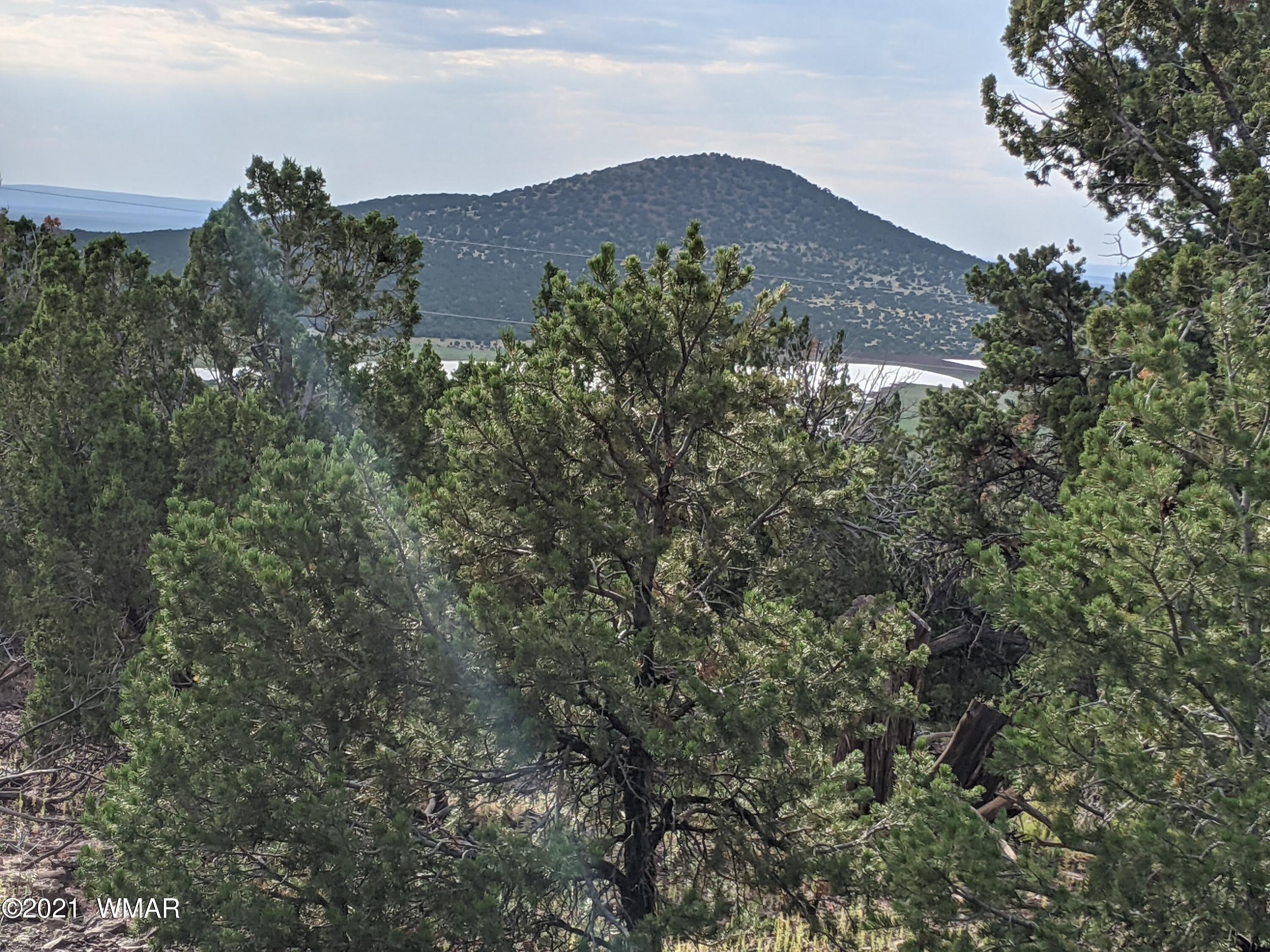 lot 76 Dolly Drive, Vernon, AZ 85940