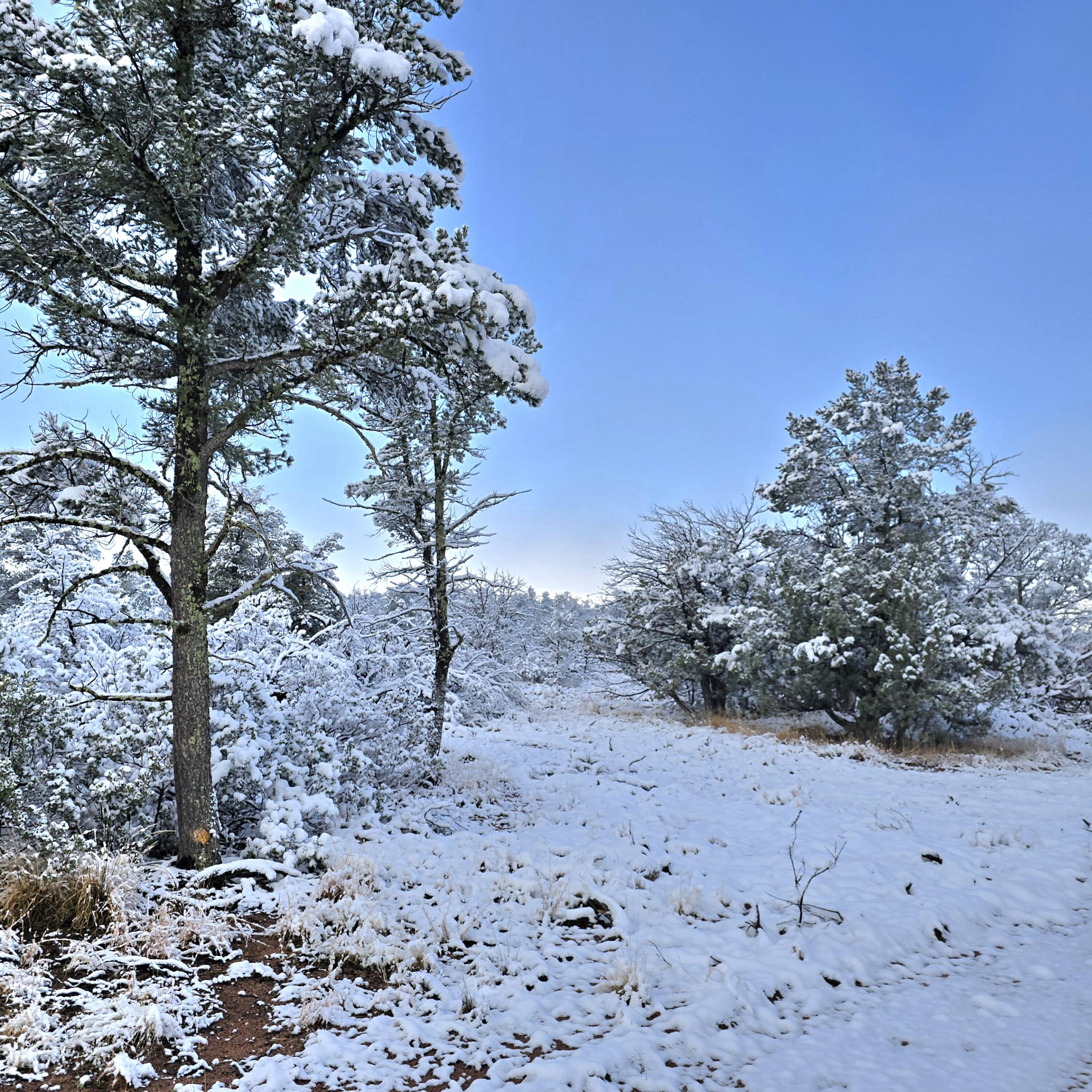 4H Ike Clark Parkway, Young, AZ 85554 — Photo 1 of 10