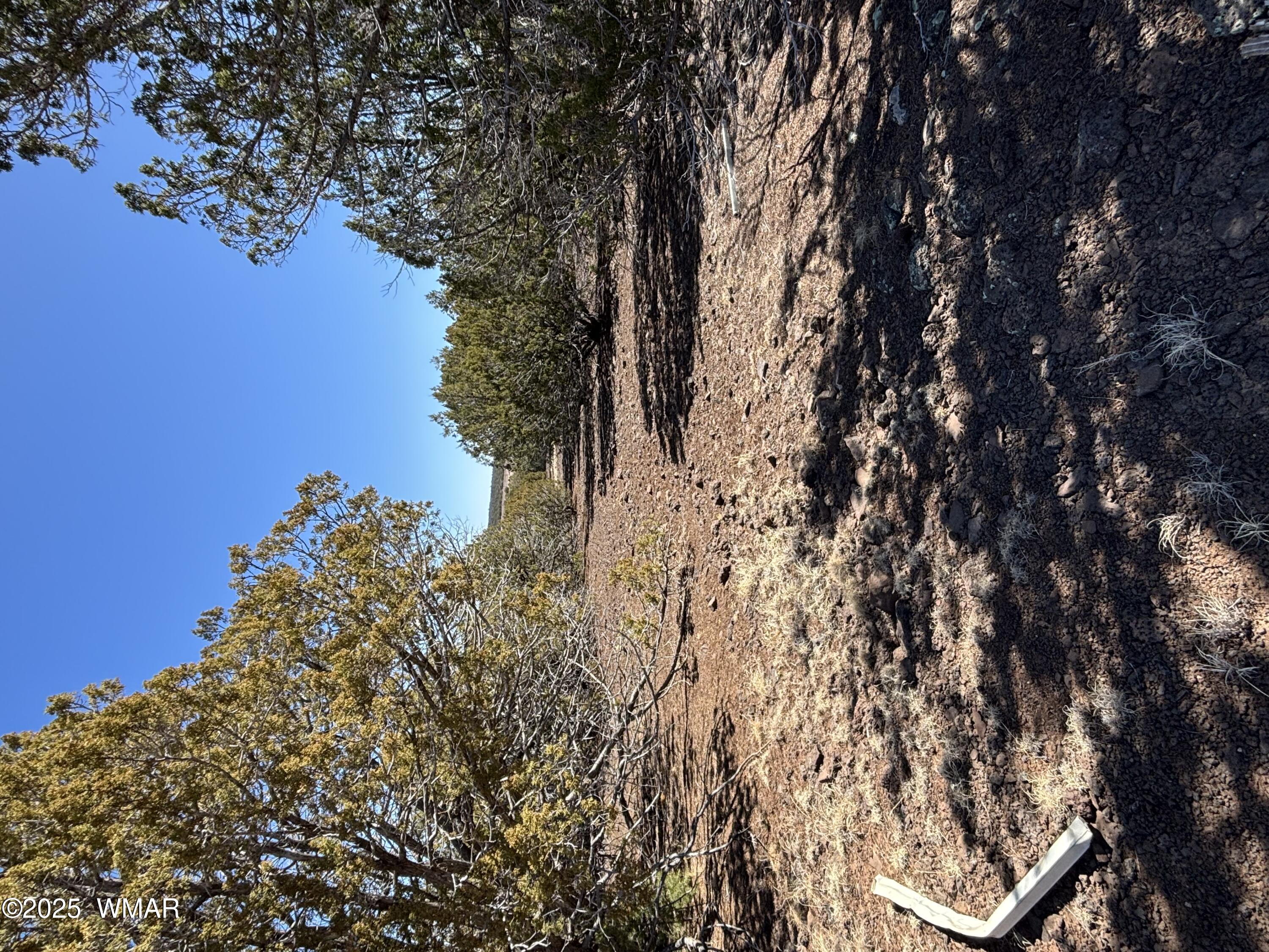 TBd 107-10-334, Concho, AZ 85924