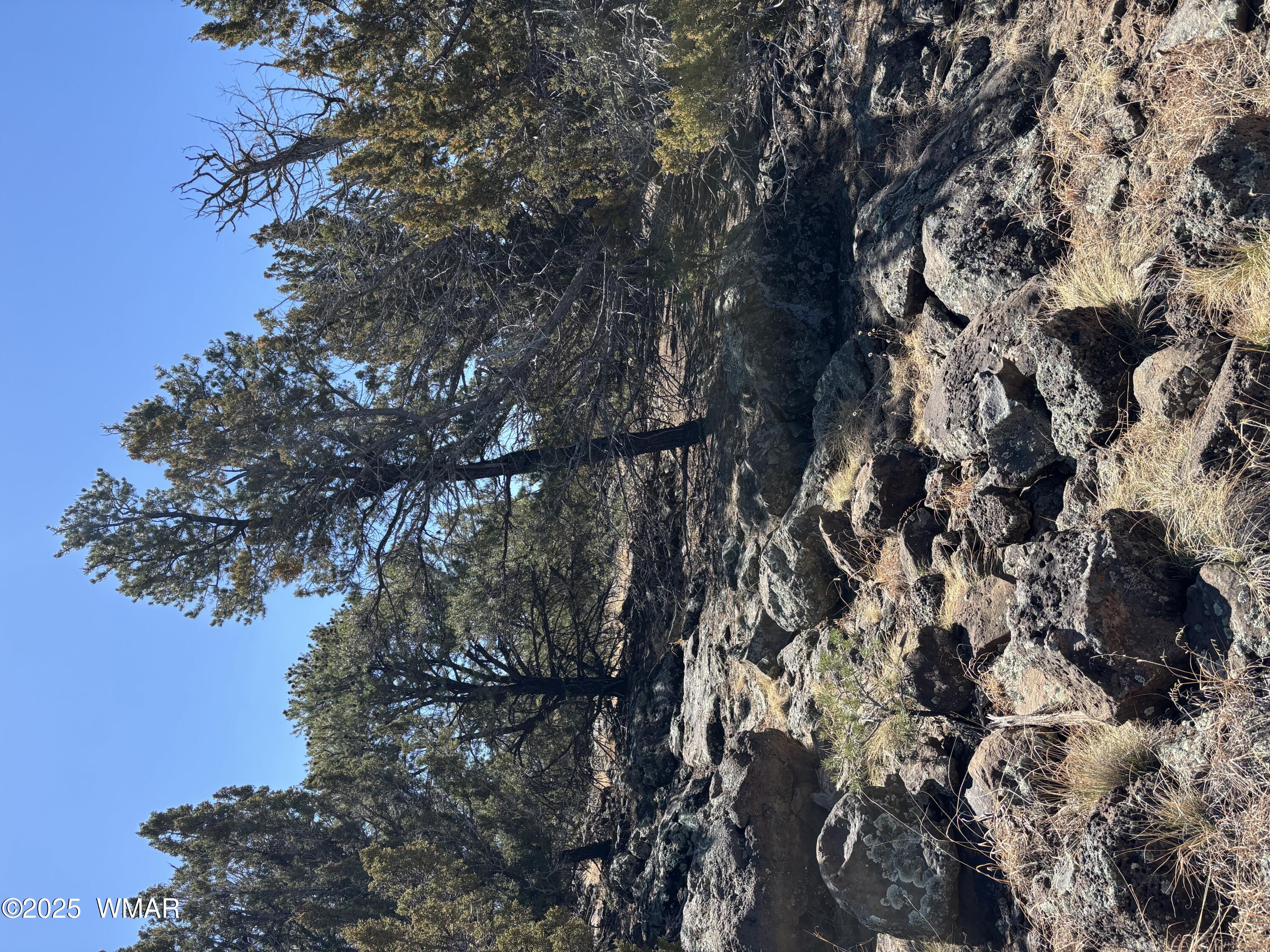 239 Geronimo Dr, Concho, AZ 85924