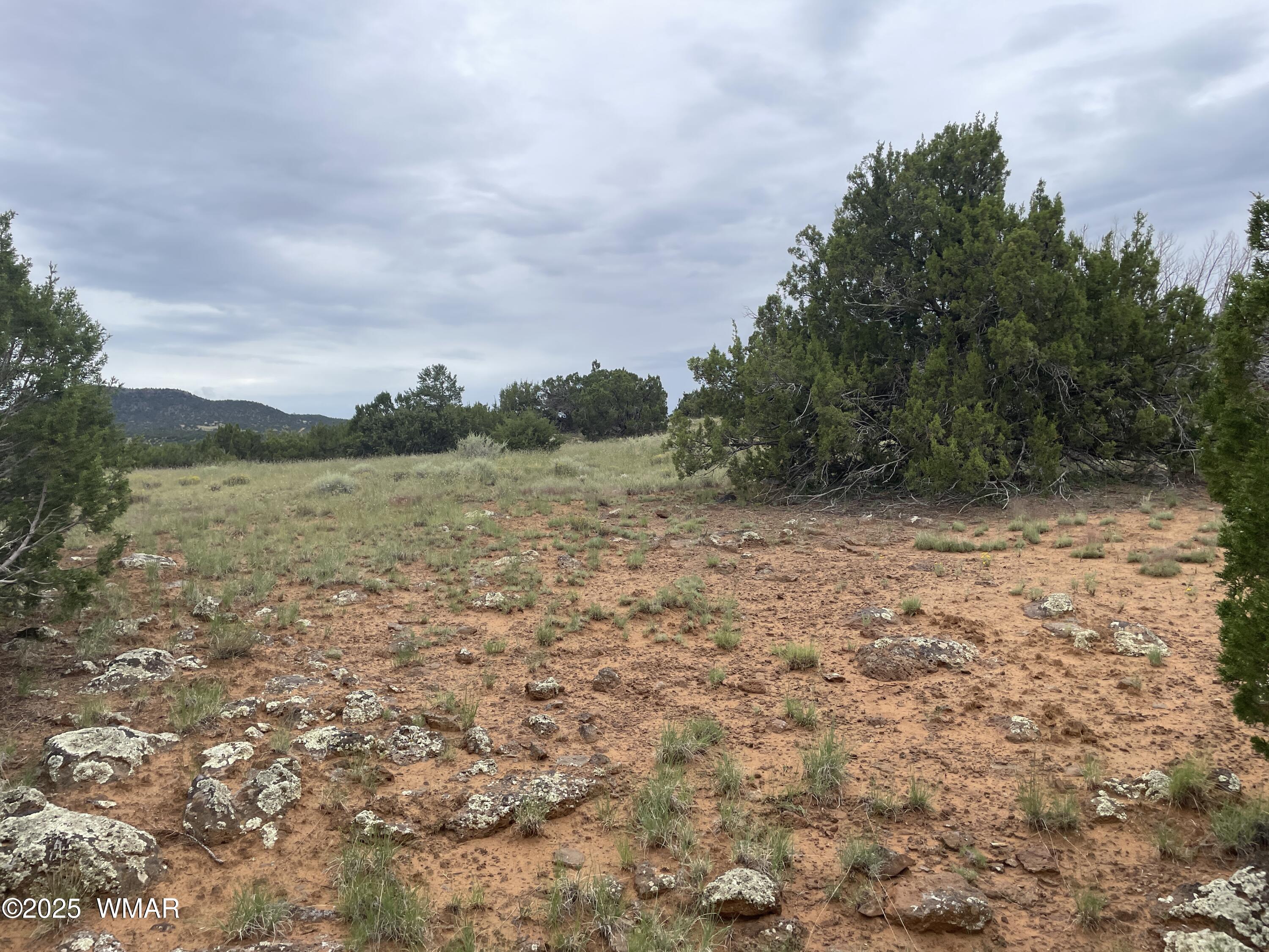 43 Charleen Drive, CR 8206, Concho, AZ 85924