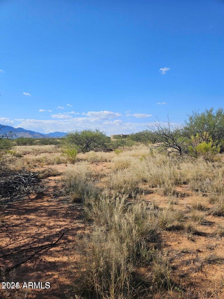 TBD 8 Ac's Off Desert Sumac A, Hereford, AZ 85615
