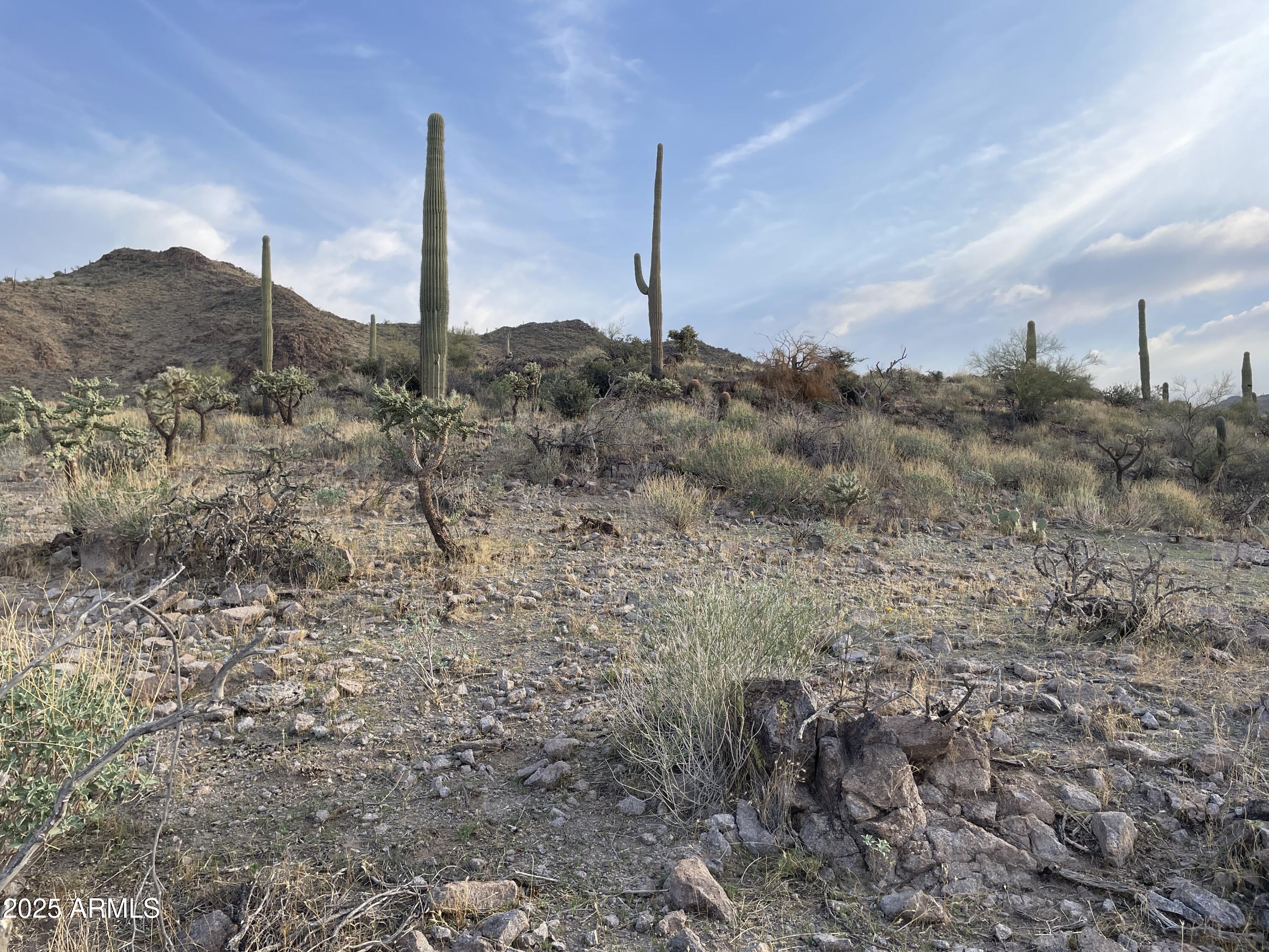 009 N Elephant Butte Road H, Queen Valley, AZ 85118
