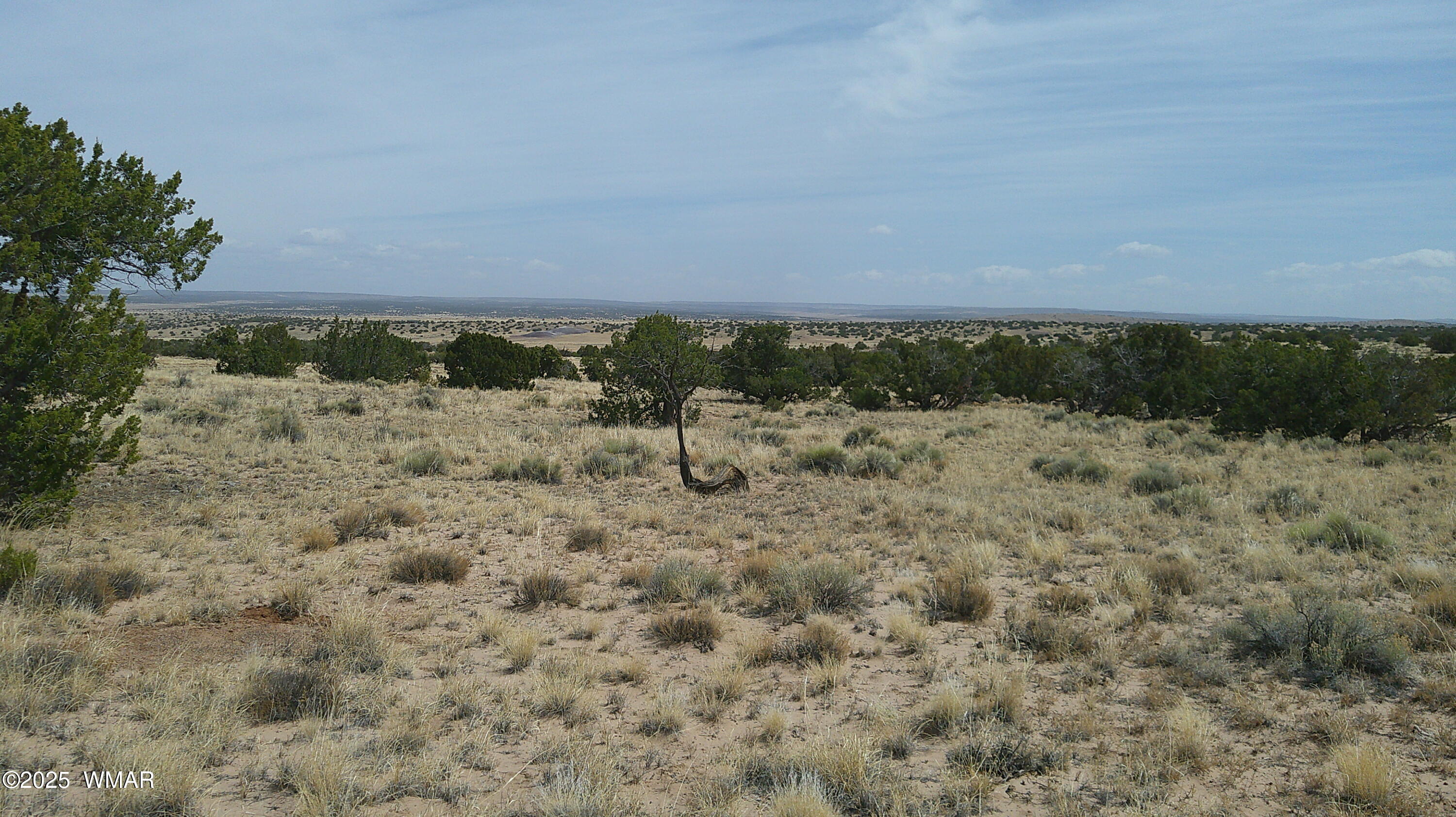 TBD St. John's, St. Johns, AZ 85936