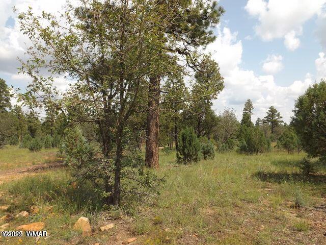 2697 Lost Way, Overgaard, AZ 85933