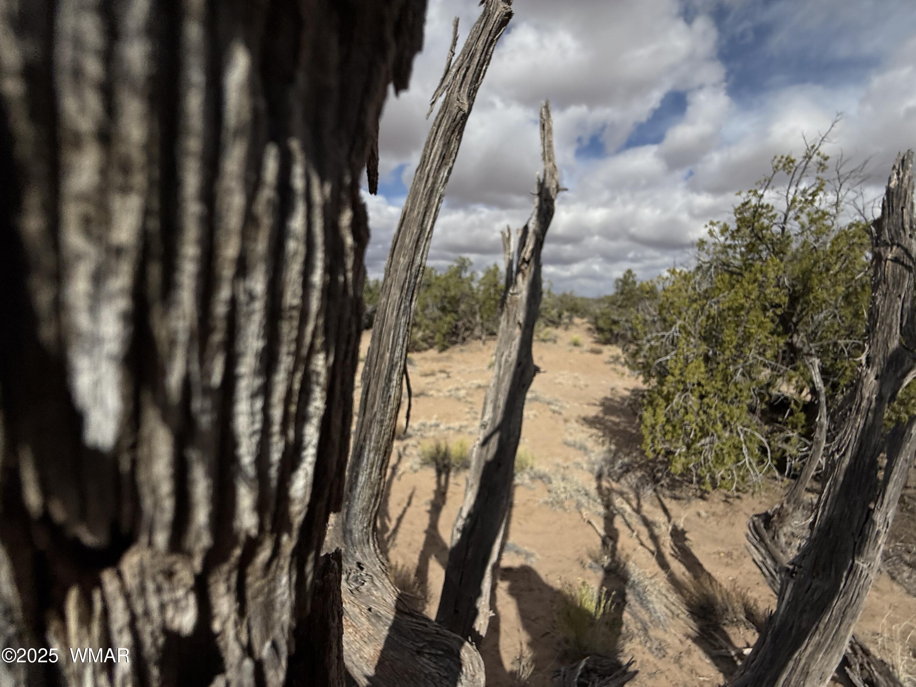 6625 North, St. Johns, AZ 85936