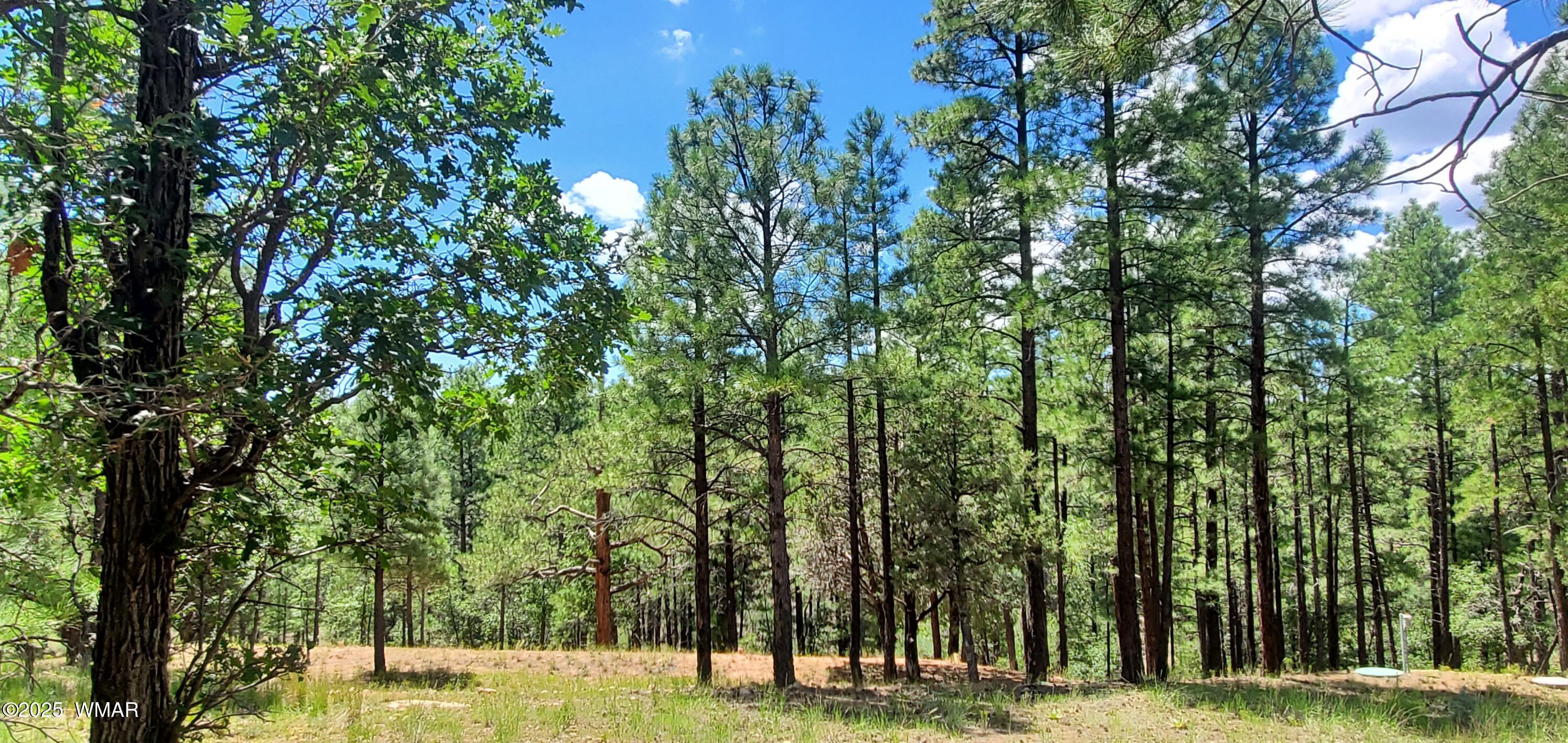 2526 Well Water Road, Happy Jack, AZ 86024