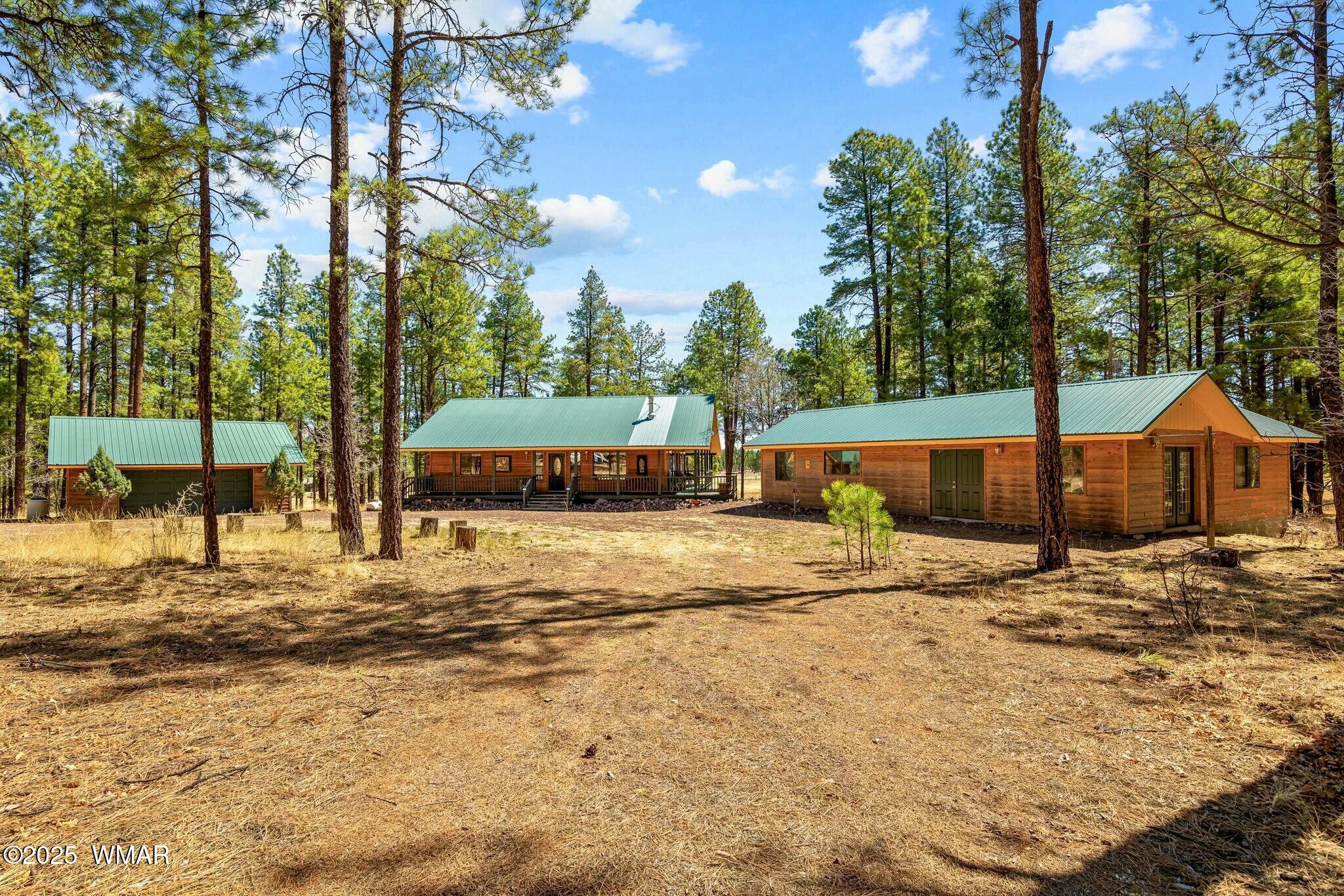 61 Co Rd 2266, Alpine, AZ 85920