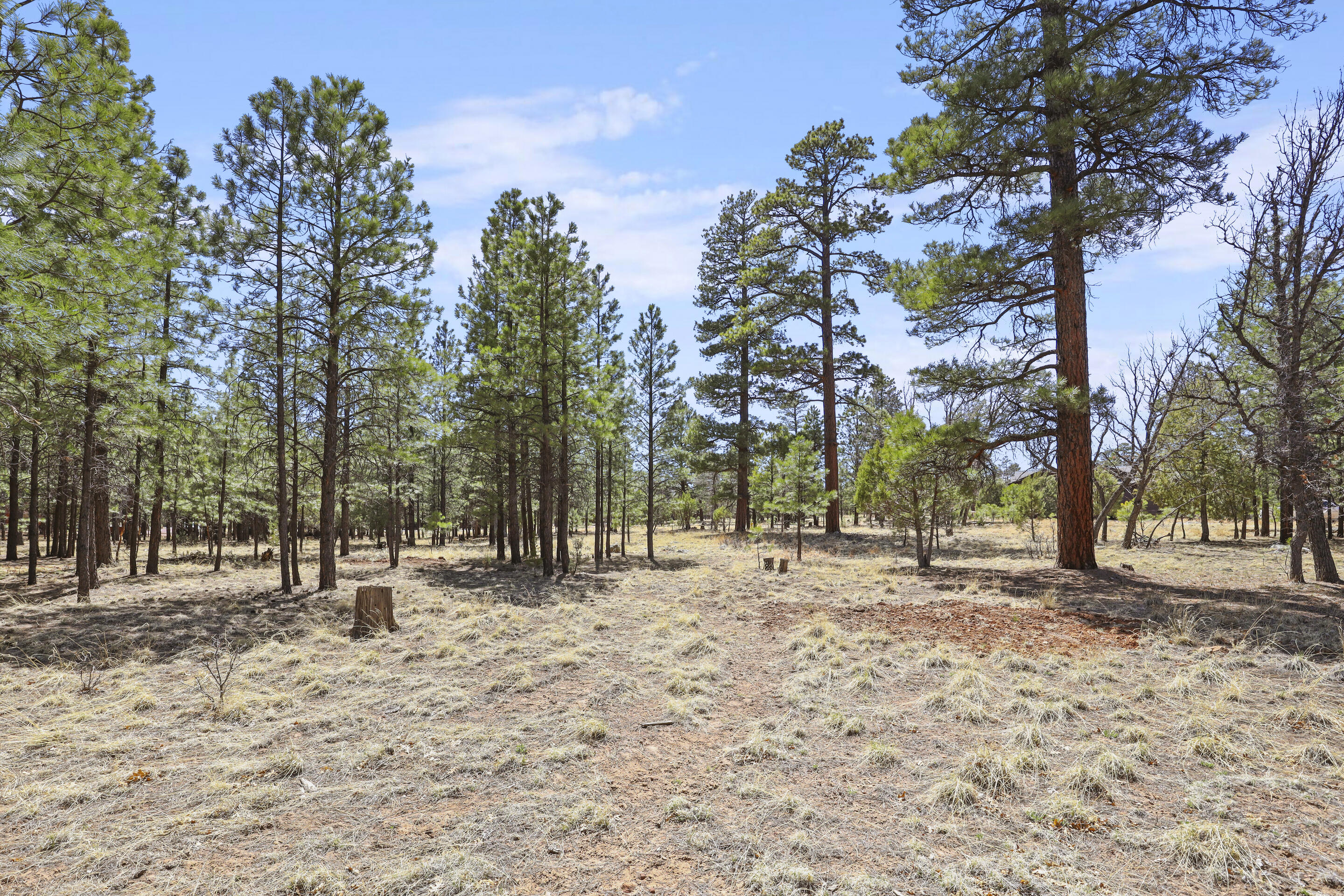 1755 Sugar Pine Drive, Happy Jack, AZ 86024