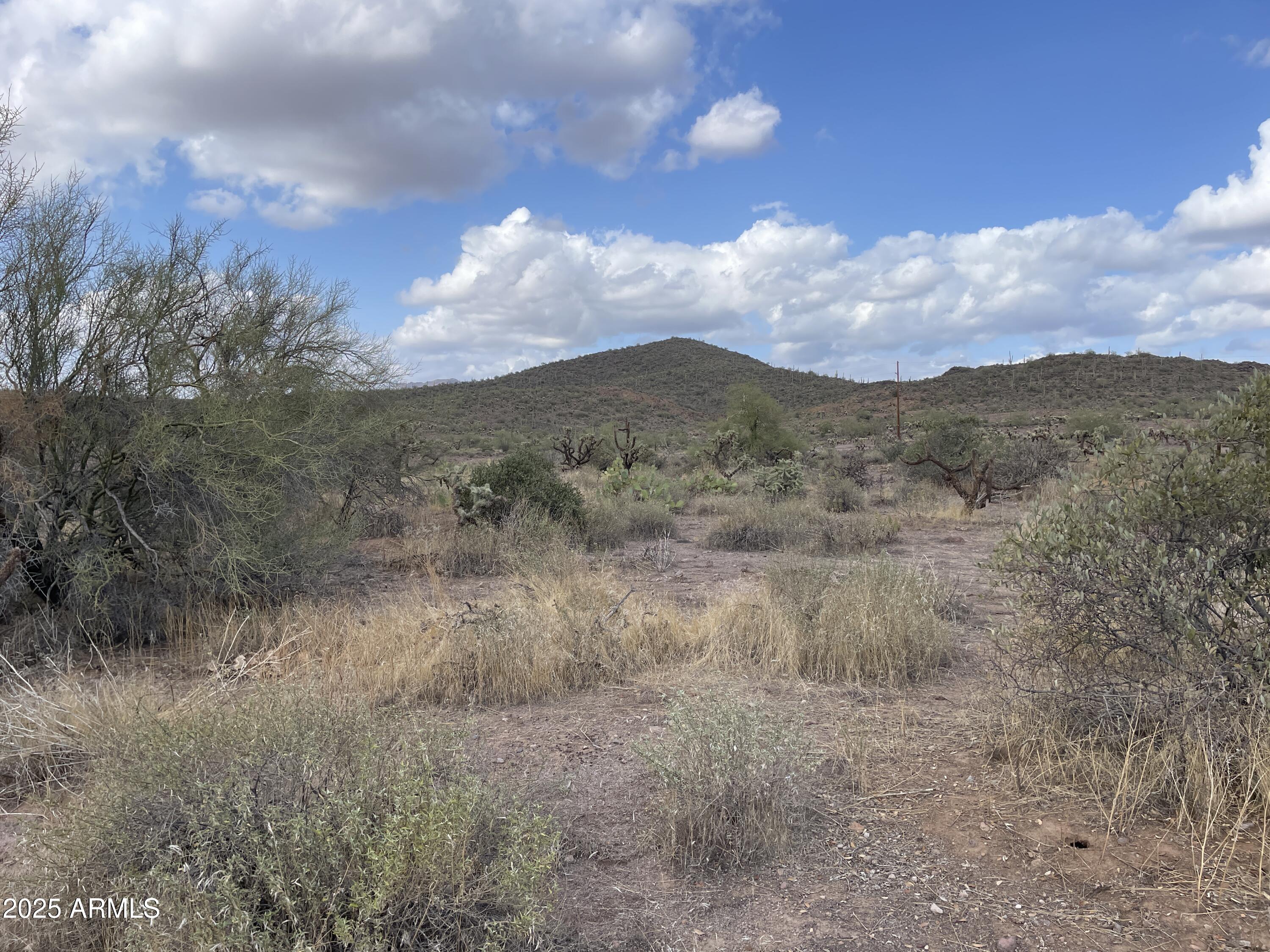 0 N Elephant Butte Road F, Queen Valley, AZ 85118