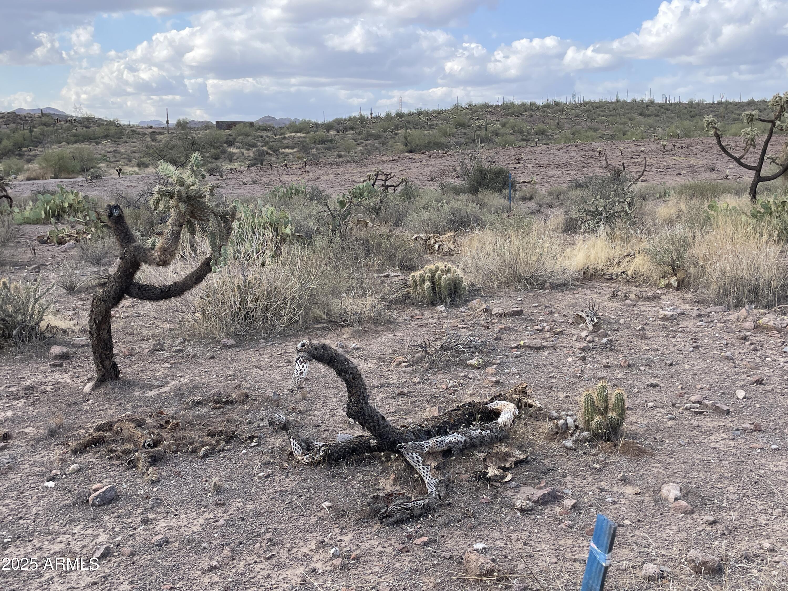 00 N Elephant Butte Road E, Queen Valley, AZ 85118