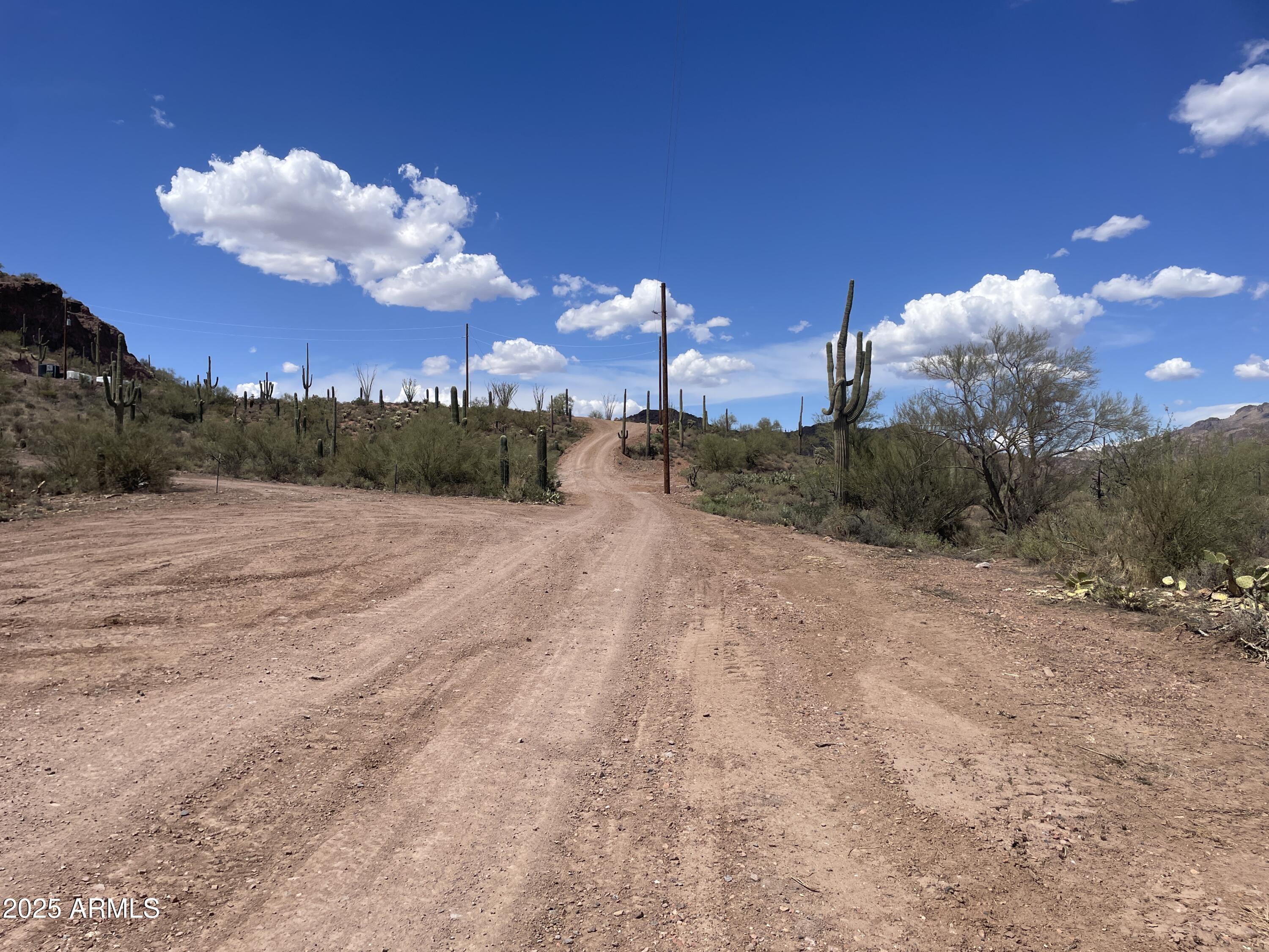 010 N Elephant Butte Road -, Queen Valley, AZ 85118
