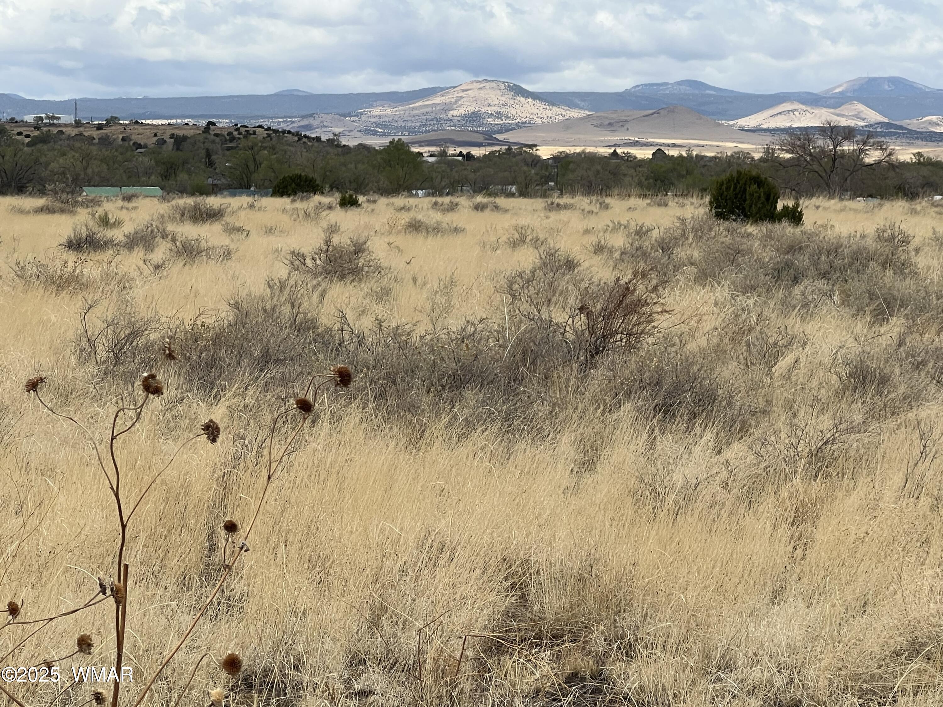 TBD E Highway 60, Springerville, AZ 85938